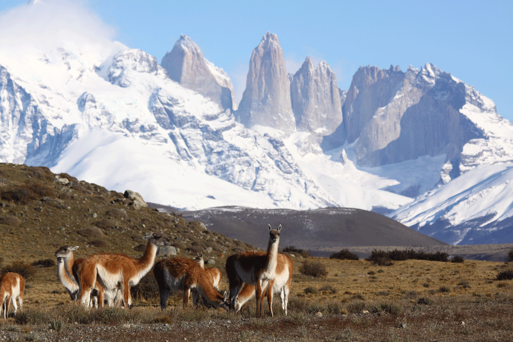 Outings-Awasi-Patagonia-(58).png