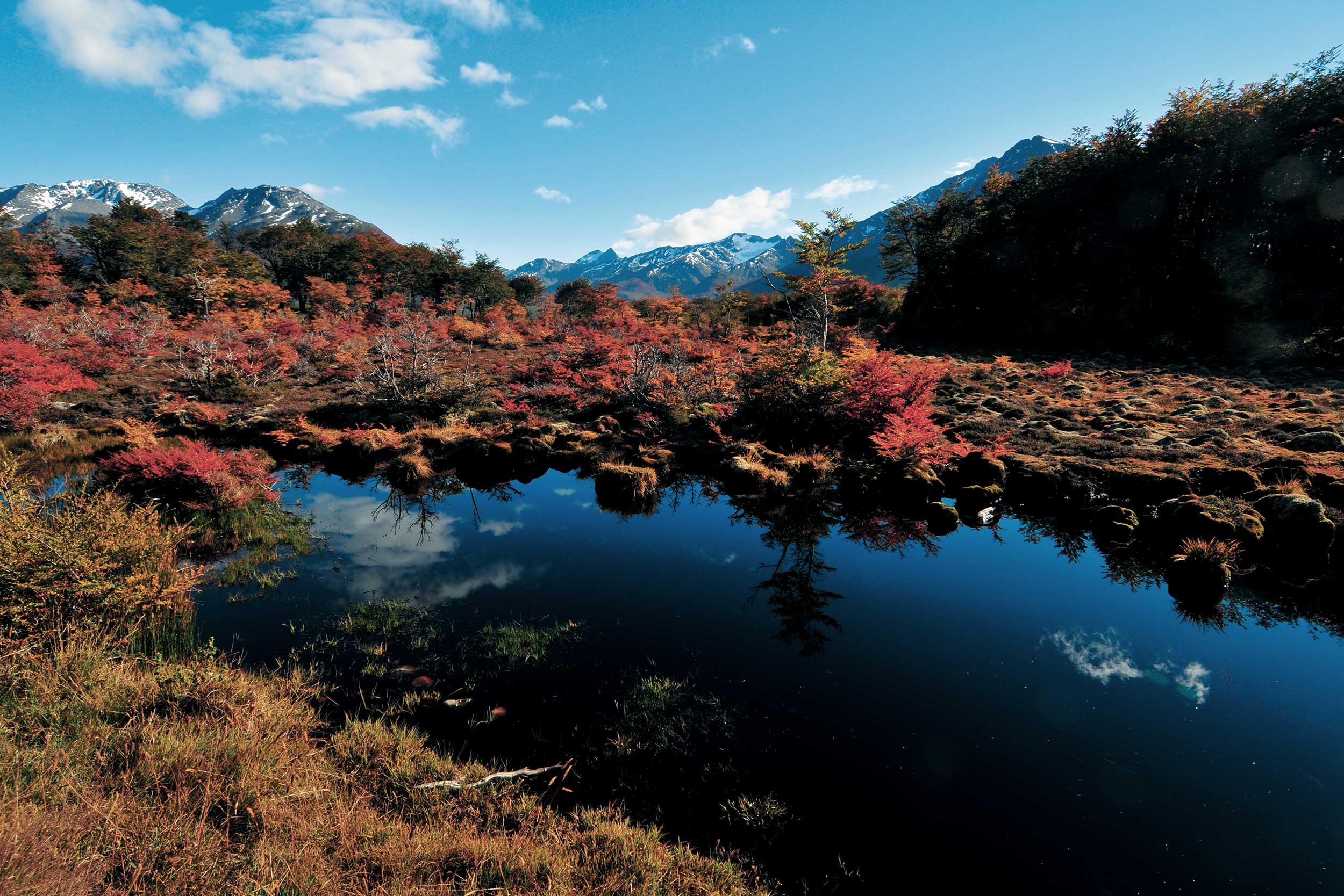 reserva-cerro-alarken.jpg