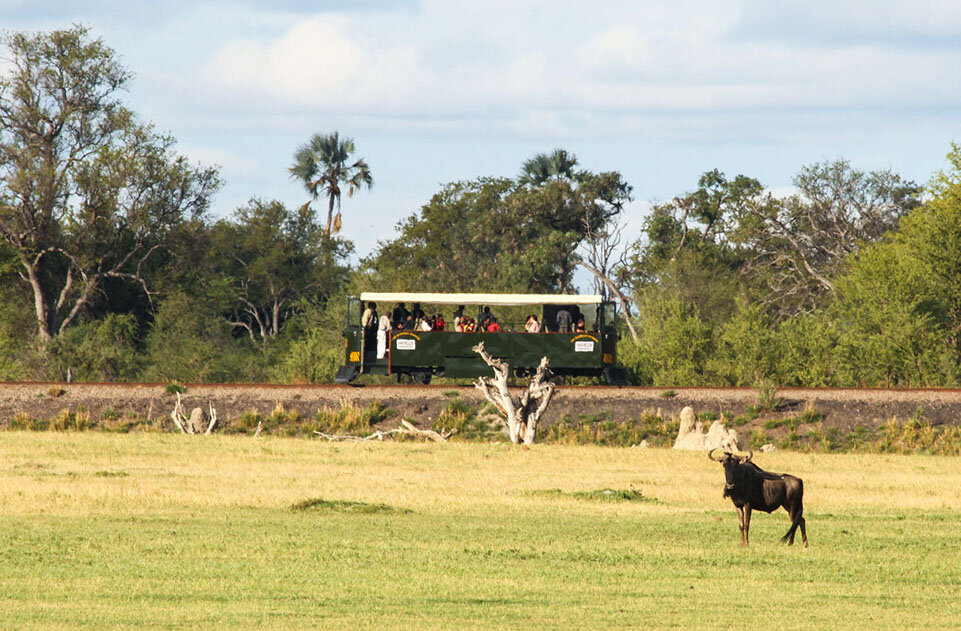 elephant express - wildebeest and the elephant express - e1.jpg