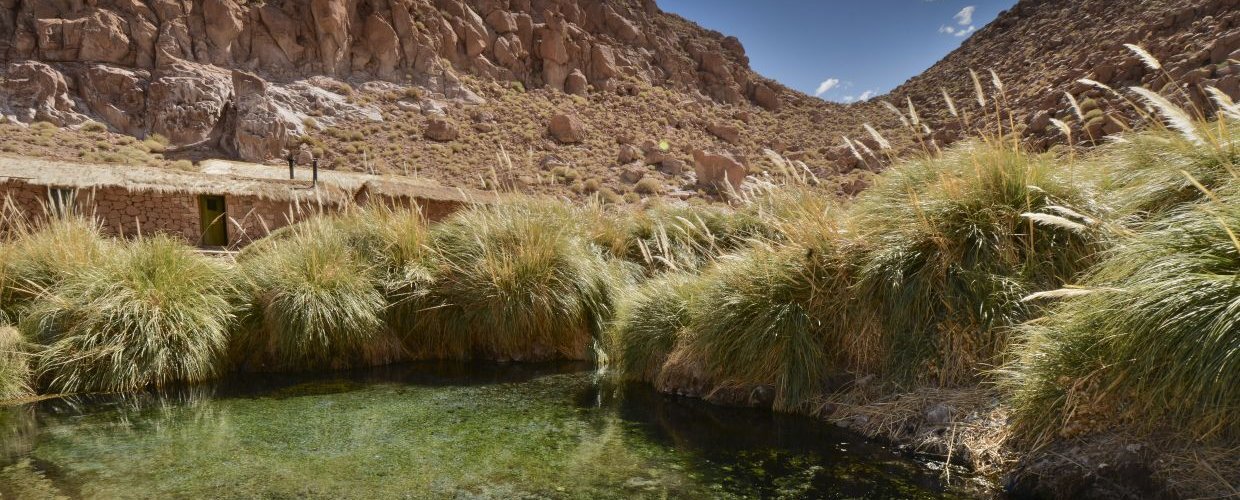 An-oasis-between-two-arid-mountain-ranges-in-the-Atacama.-Hiking-trips.jpg