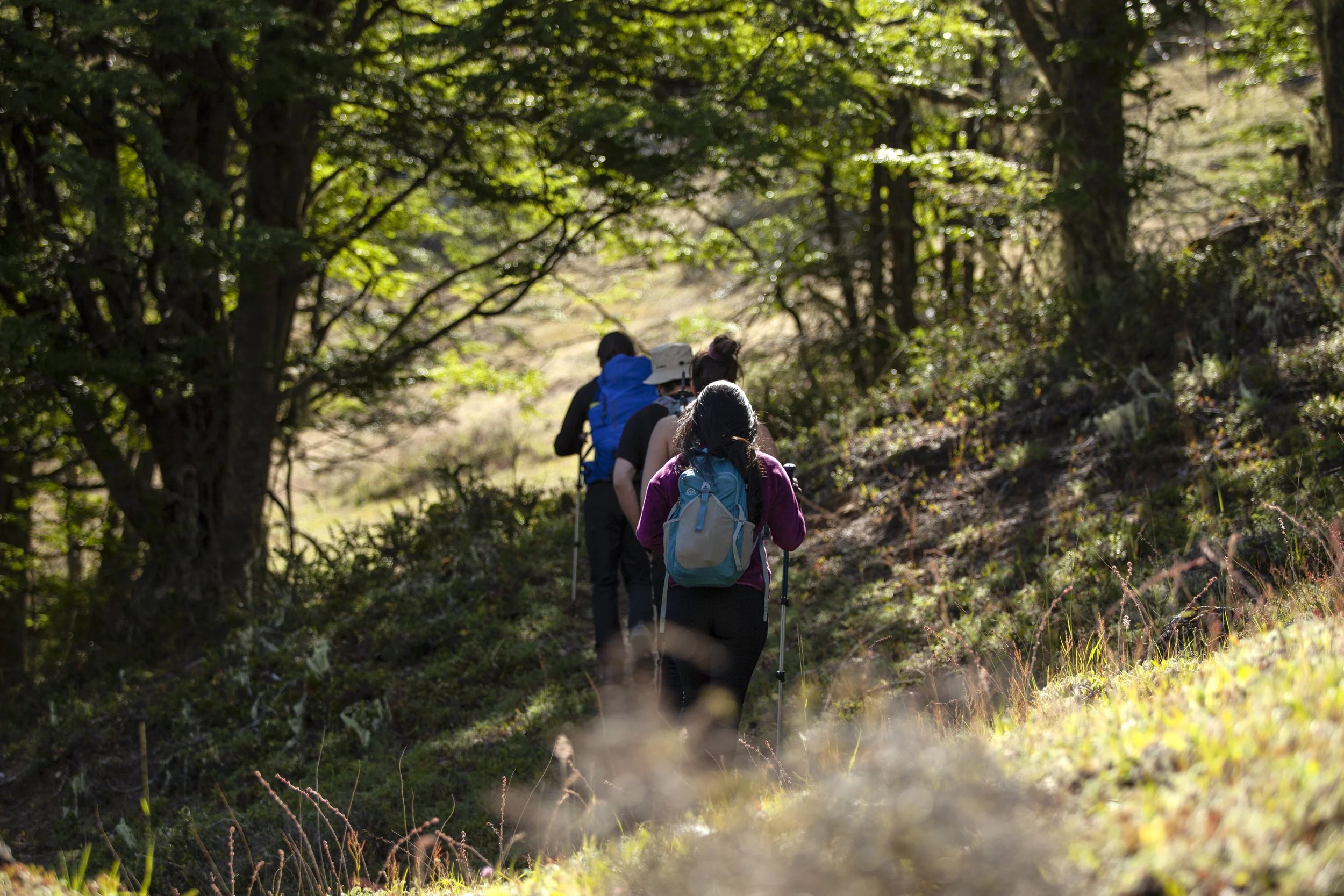 explora-patagonia-hiking-antiguos.jpg