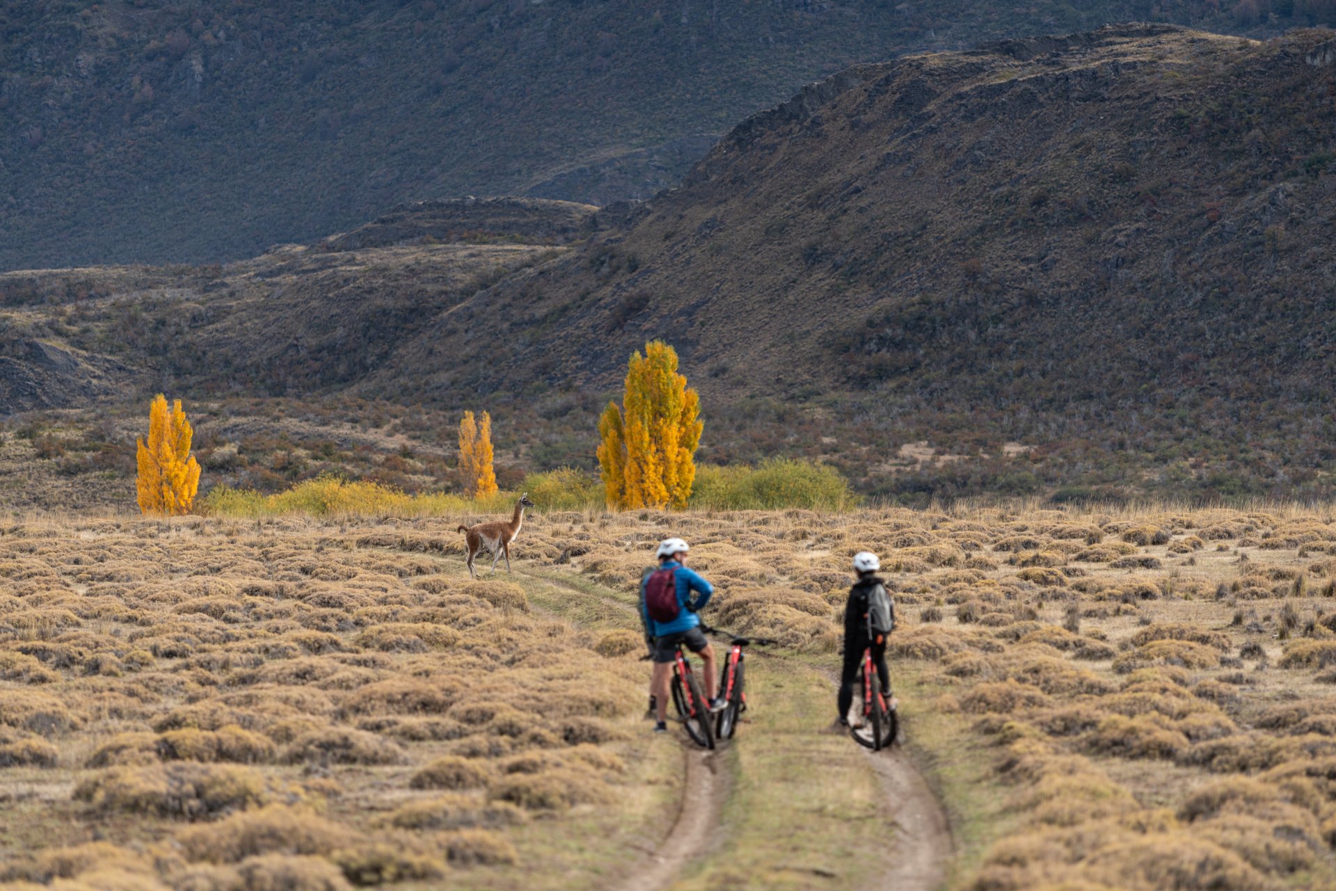 Parque%20Nacional%20Patagonai%20Explora%206.jpg