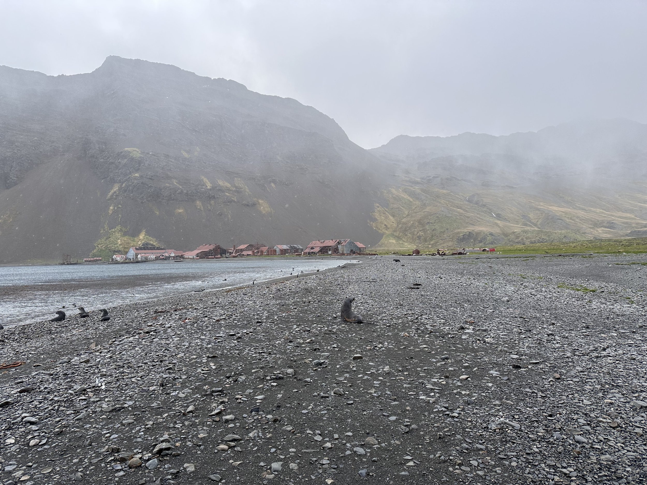 Stromness, South Georgia