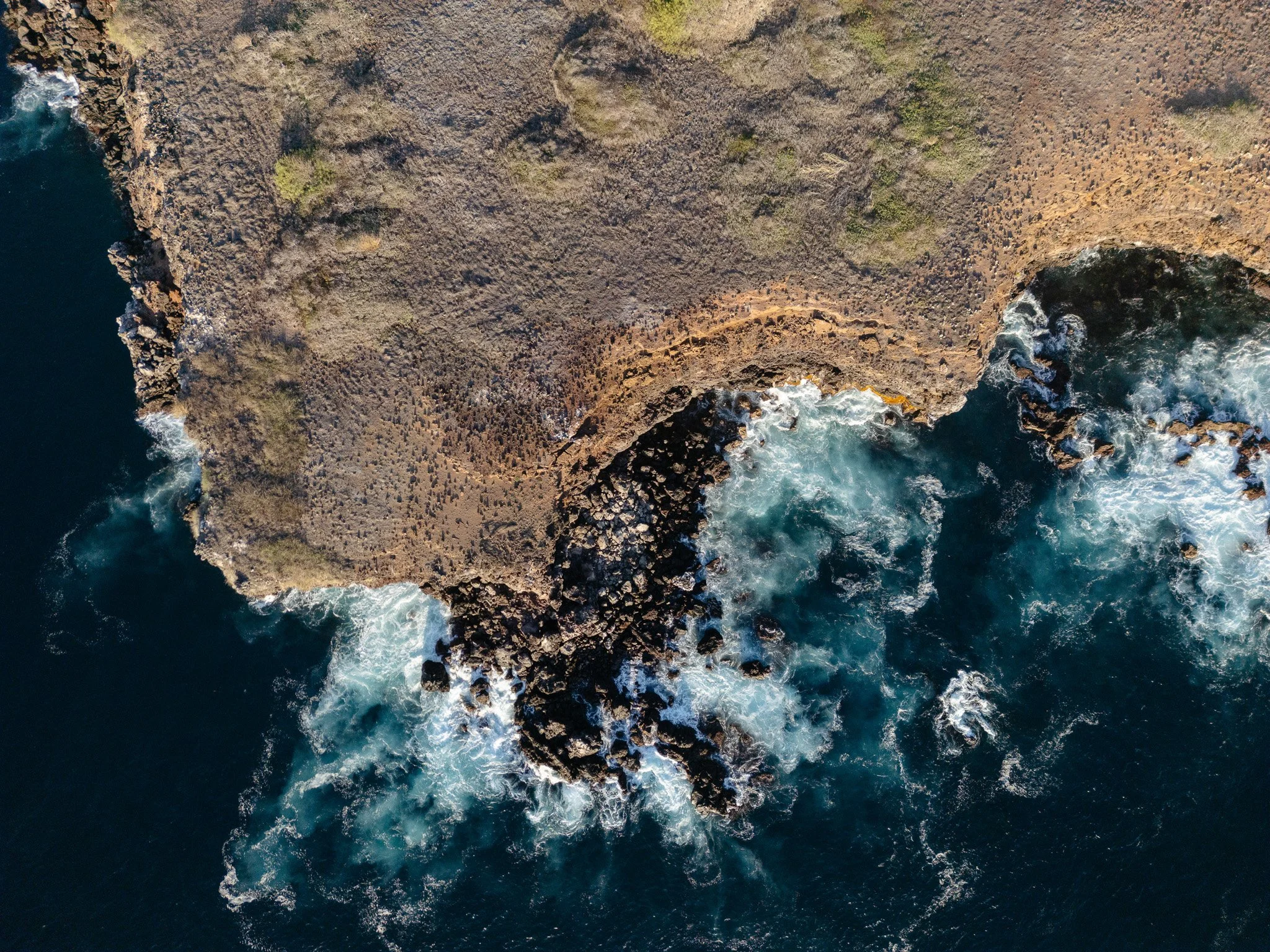 The Galápagos Just Got Smarter: A New Era of Conservation on Floreana Island