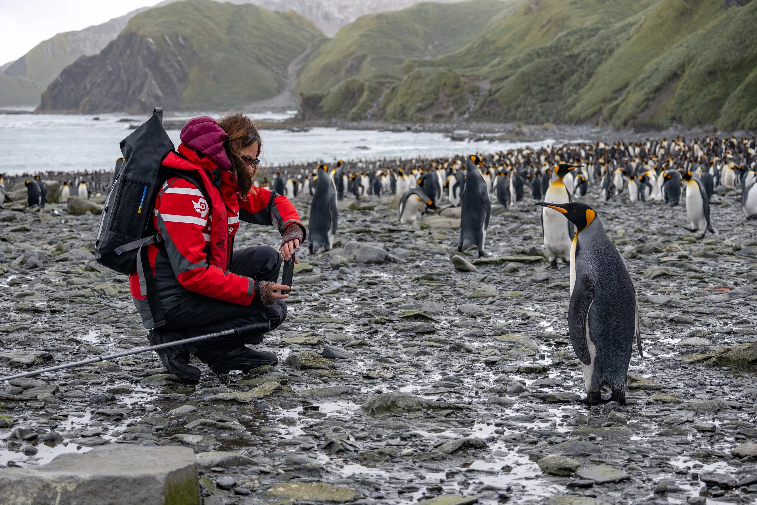 Antarctica Photography Guide: Tips for Capturing Ice and Wildlife