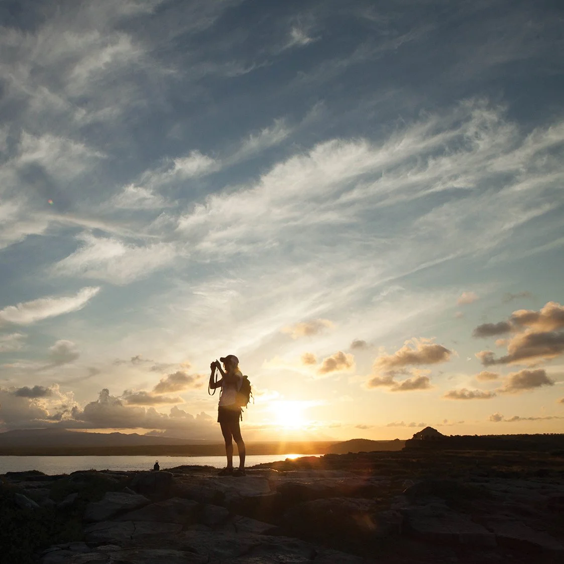 Galapagos Solo Traveler Sale 2026