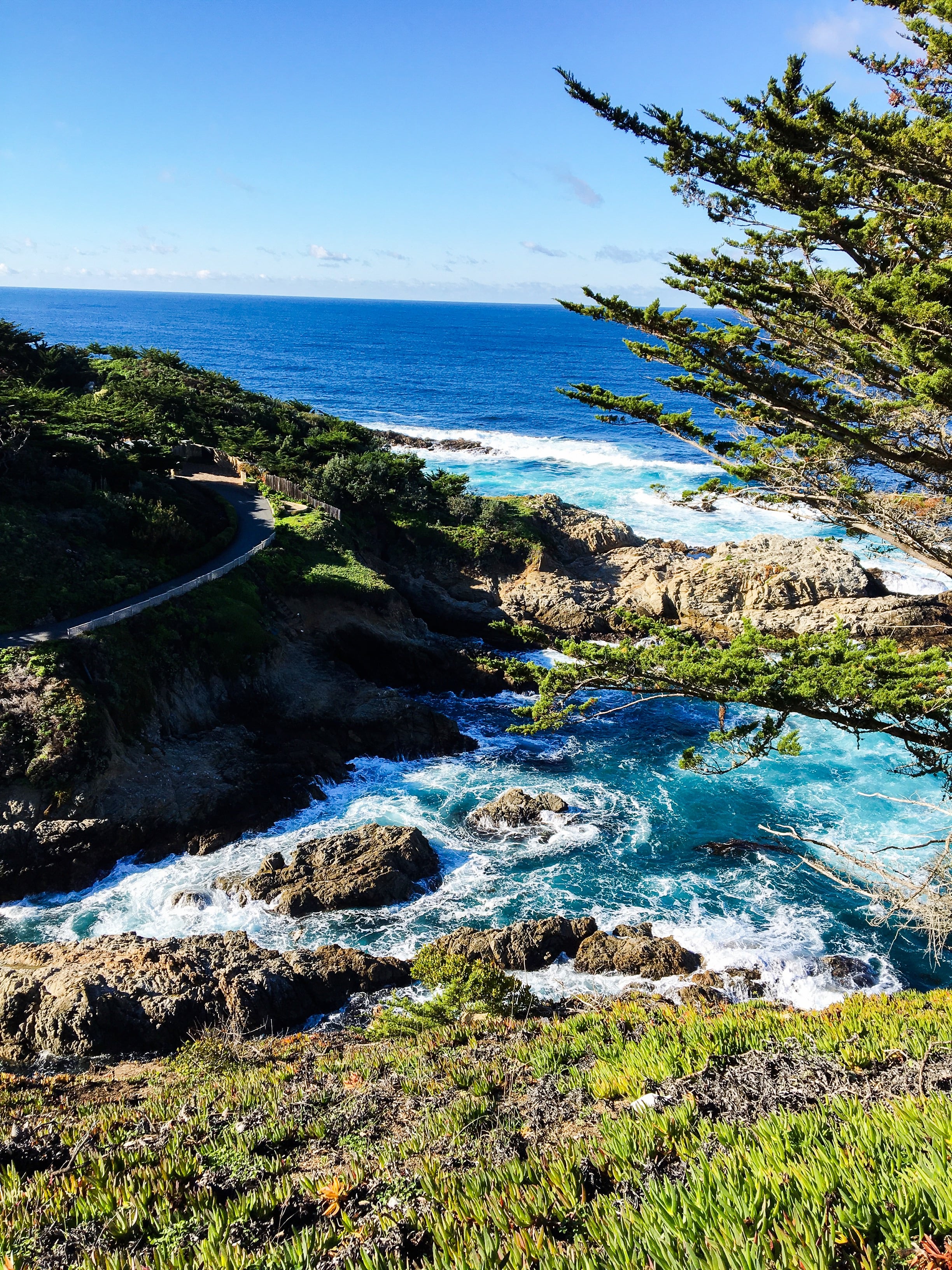 Road Trippin' Up the Pacific Coast