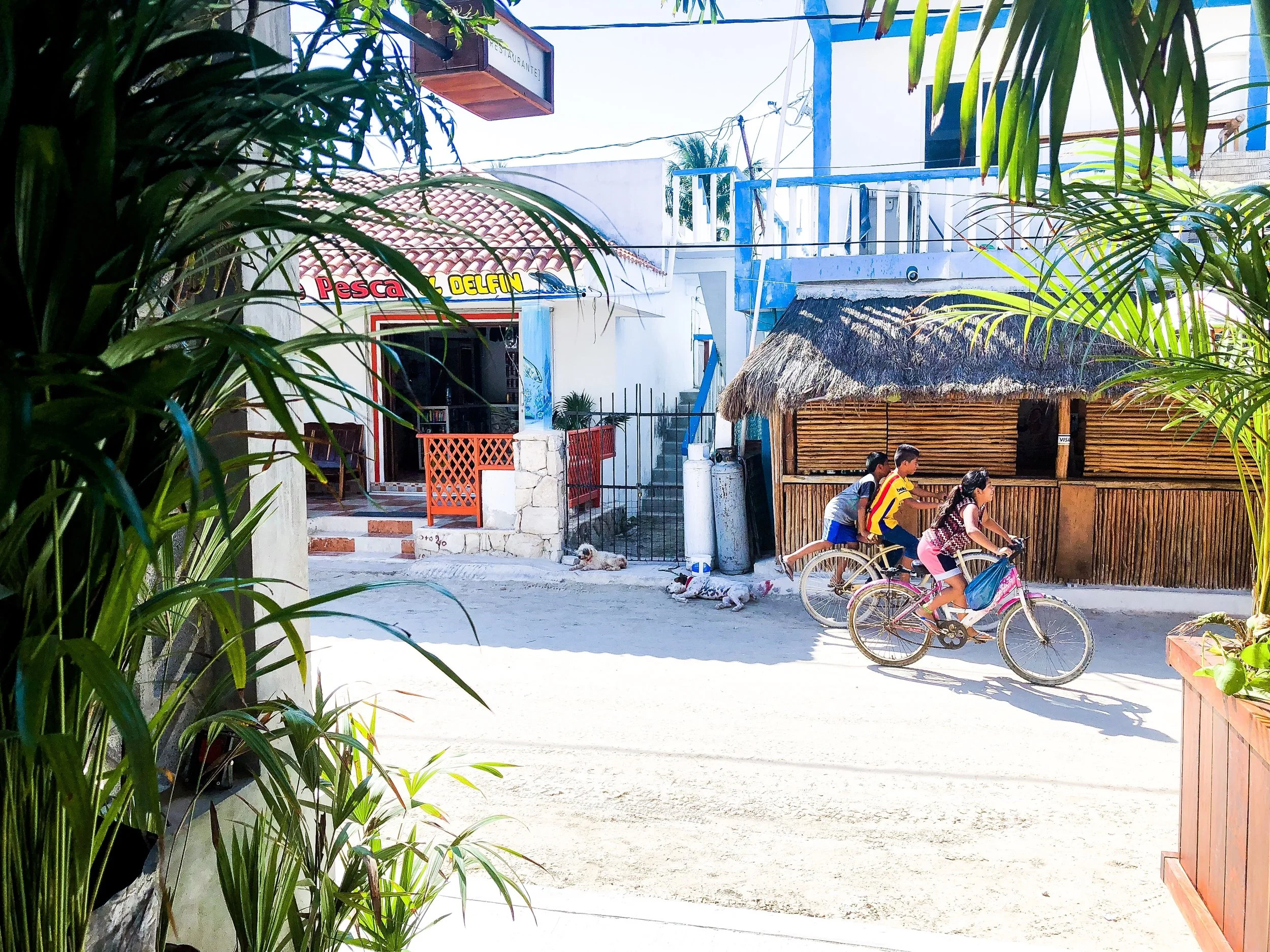 The happiest kiddos and pups lounging in the town - Isla de Holbox, Mexico