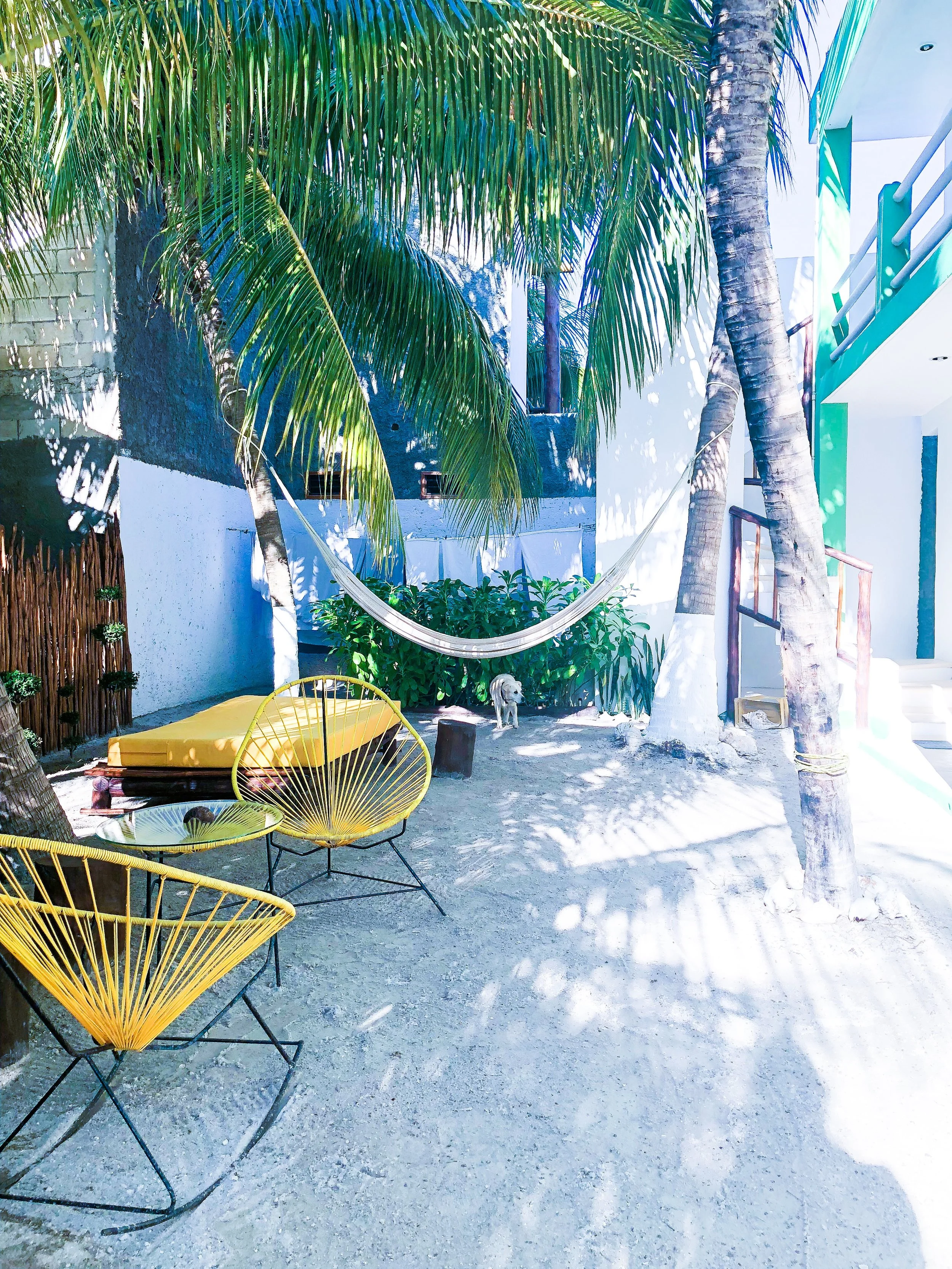 Five New Year's Resolutions & A Few Christmas Vacay Pics