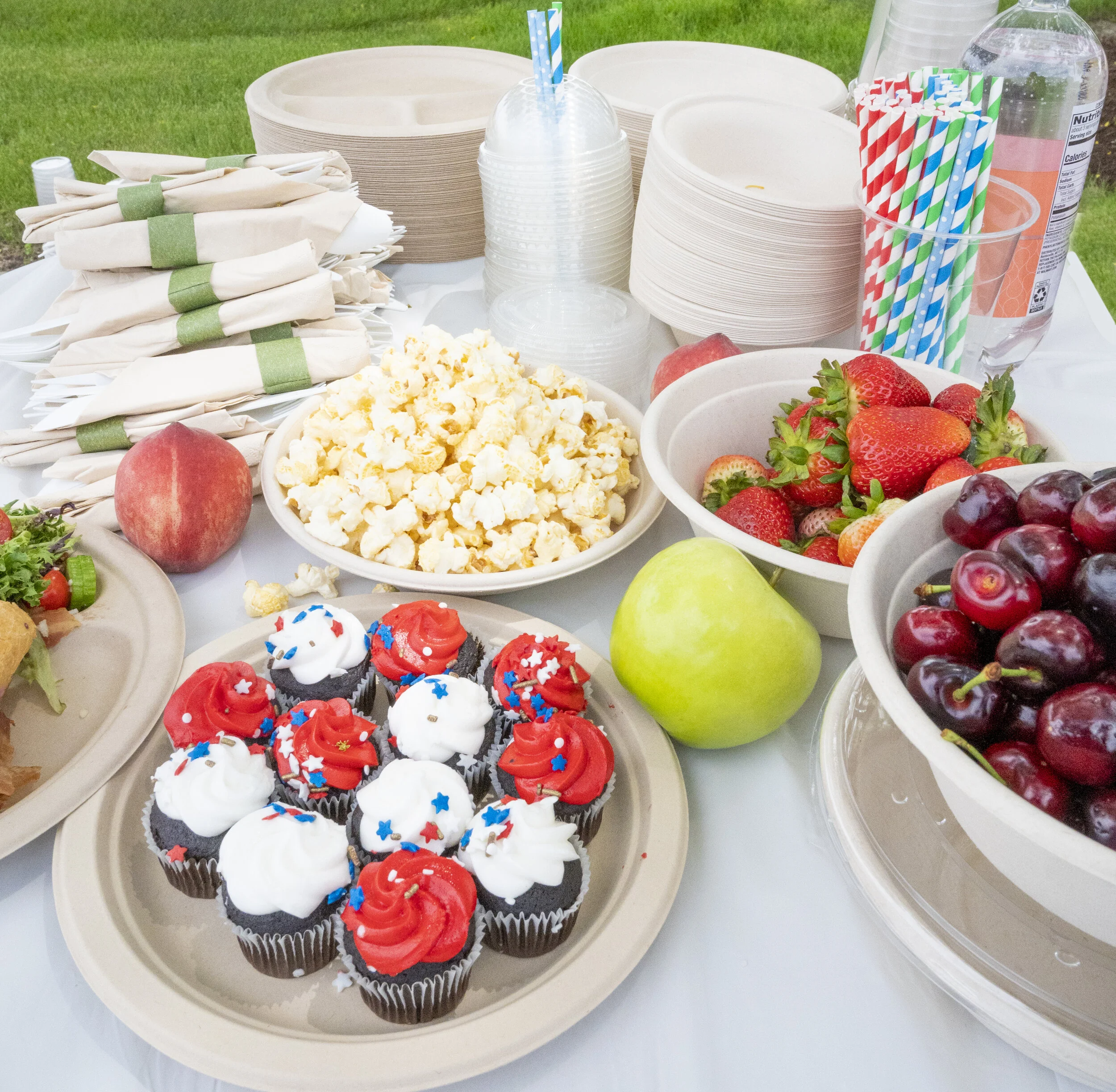 Compostable Plant Fiber Plates