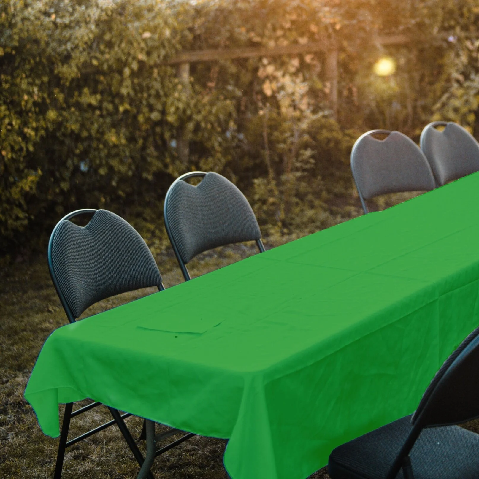 Compostable Tablecloth