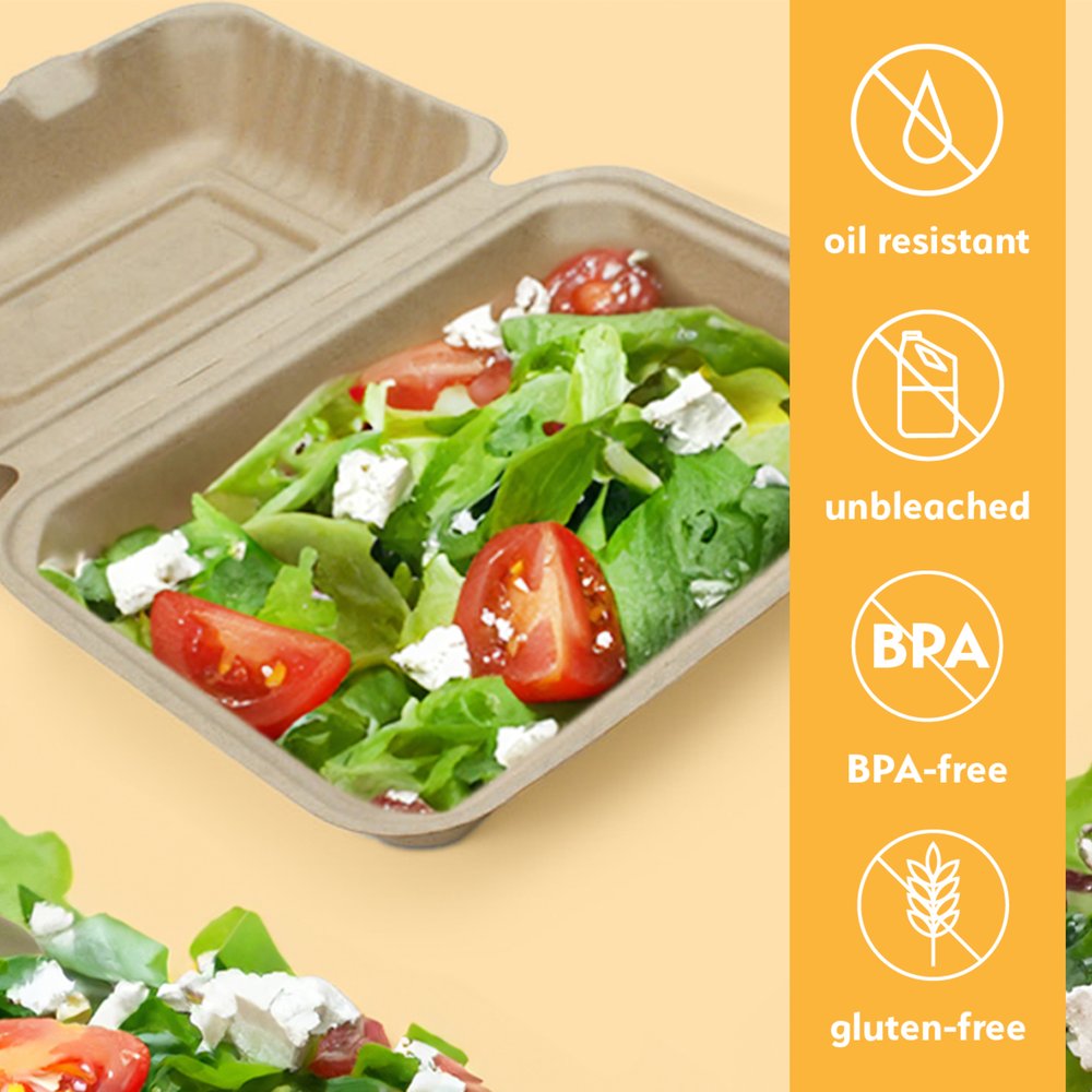 9x6 Inch To-go Box - Single Use, Disposable, Biodegradable - 250