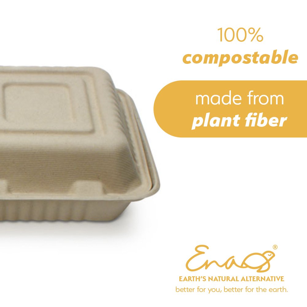 Compostable 8 inch to-go container - Mr. Green Guys takeaway boxes – Mr  Green Guys