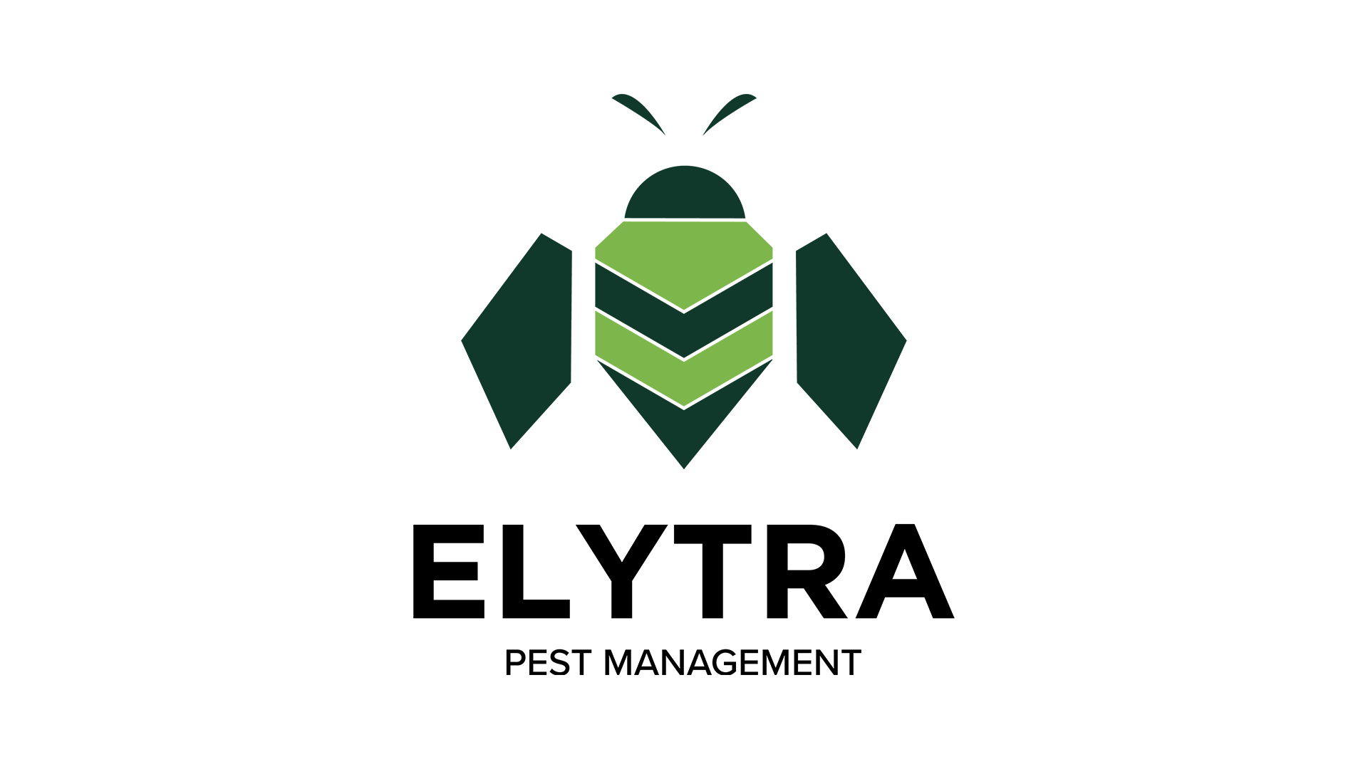 ElytraLogo.png