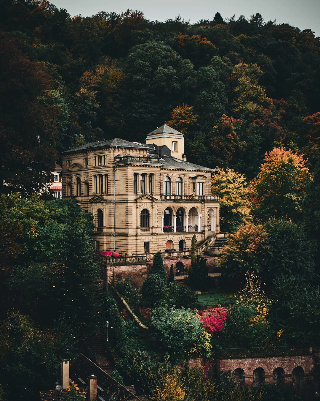 Black Forest_1.jpg