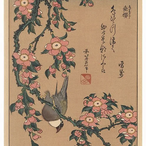 Hokusai (1760 - 1849) Japanese Woodblock Reprint Bullfinch and Weeping Cherry