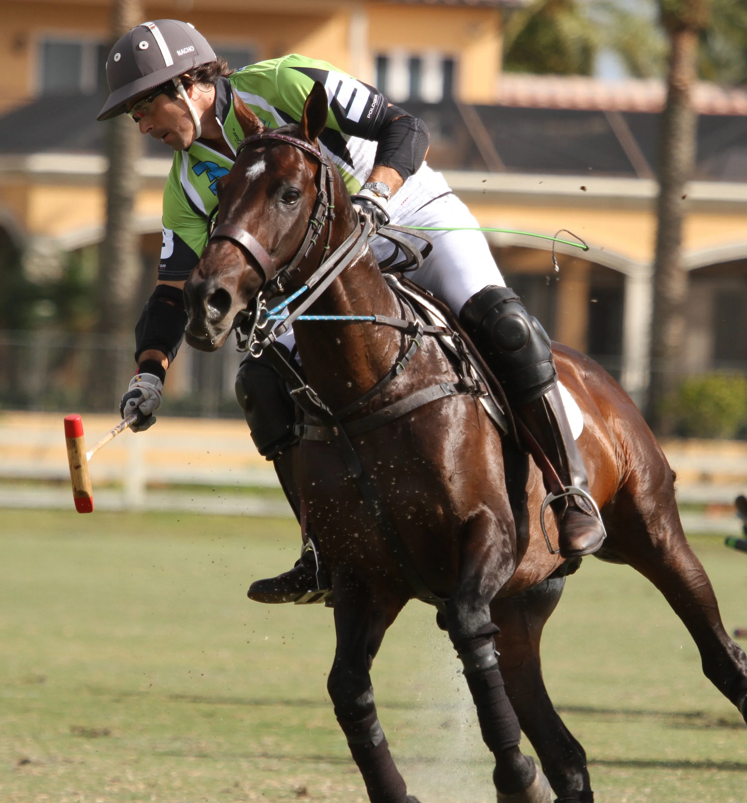 Crowd pleaser Nacho Figueras takes possession of the ball..jpg