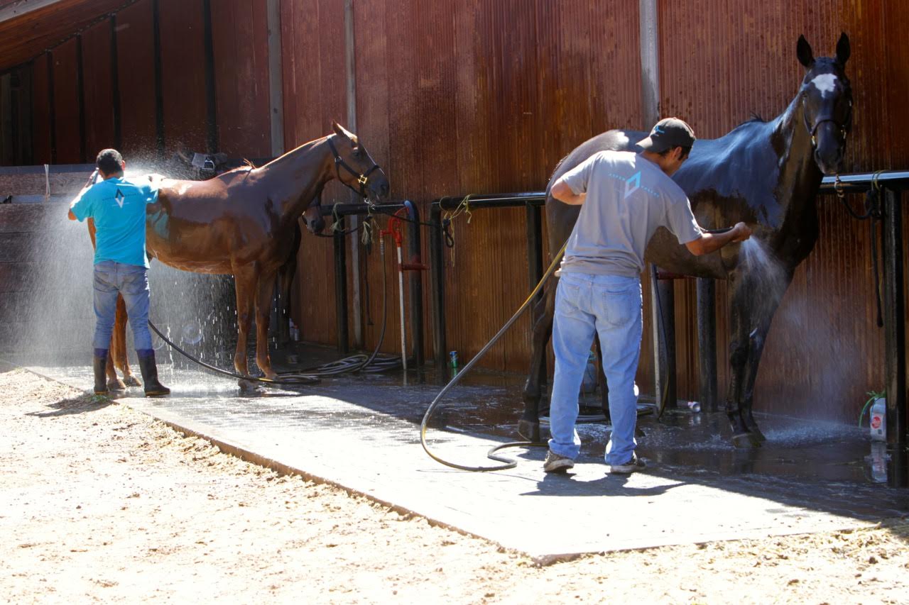 This will be the scene in six weeks in Aspen when summer polo gets underway.