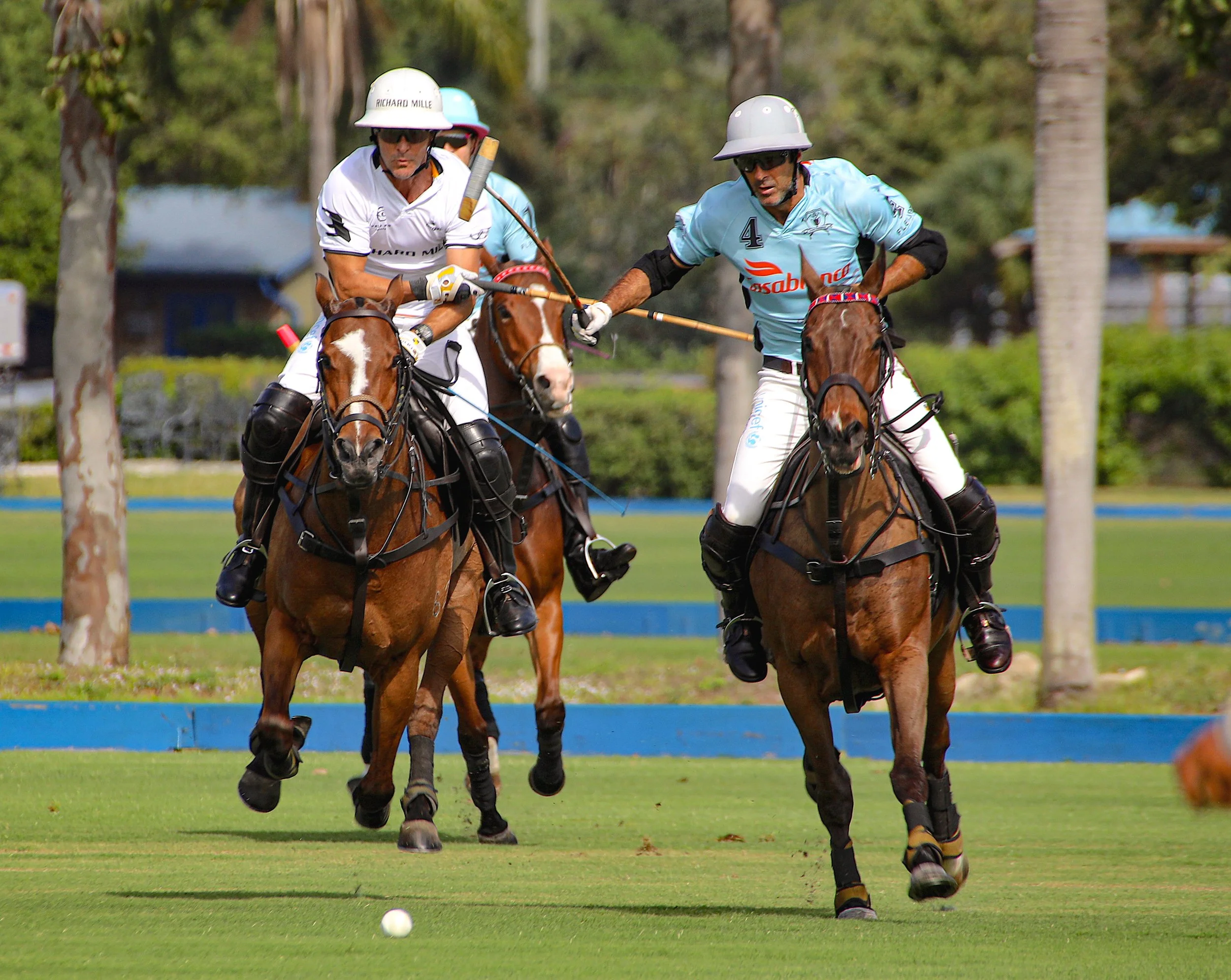 World Polo League Announces Team 