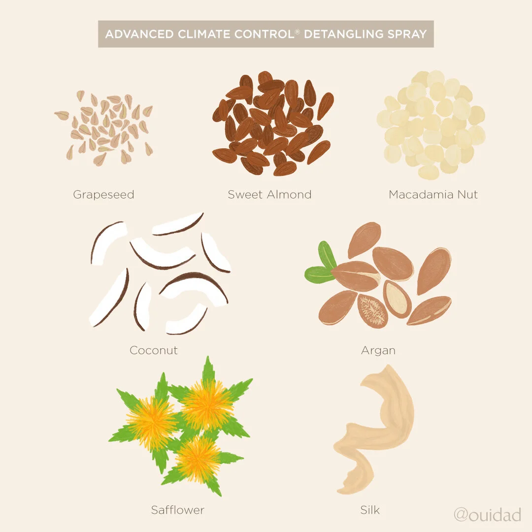 Ouidad_Jan_IngredientsDetanglerSpray_v2.jpg