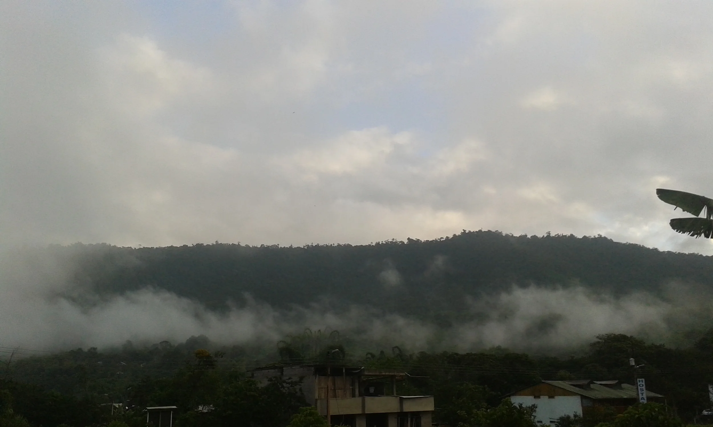 Lindo Mindo