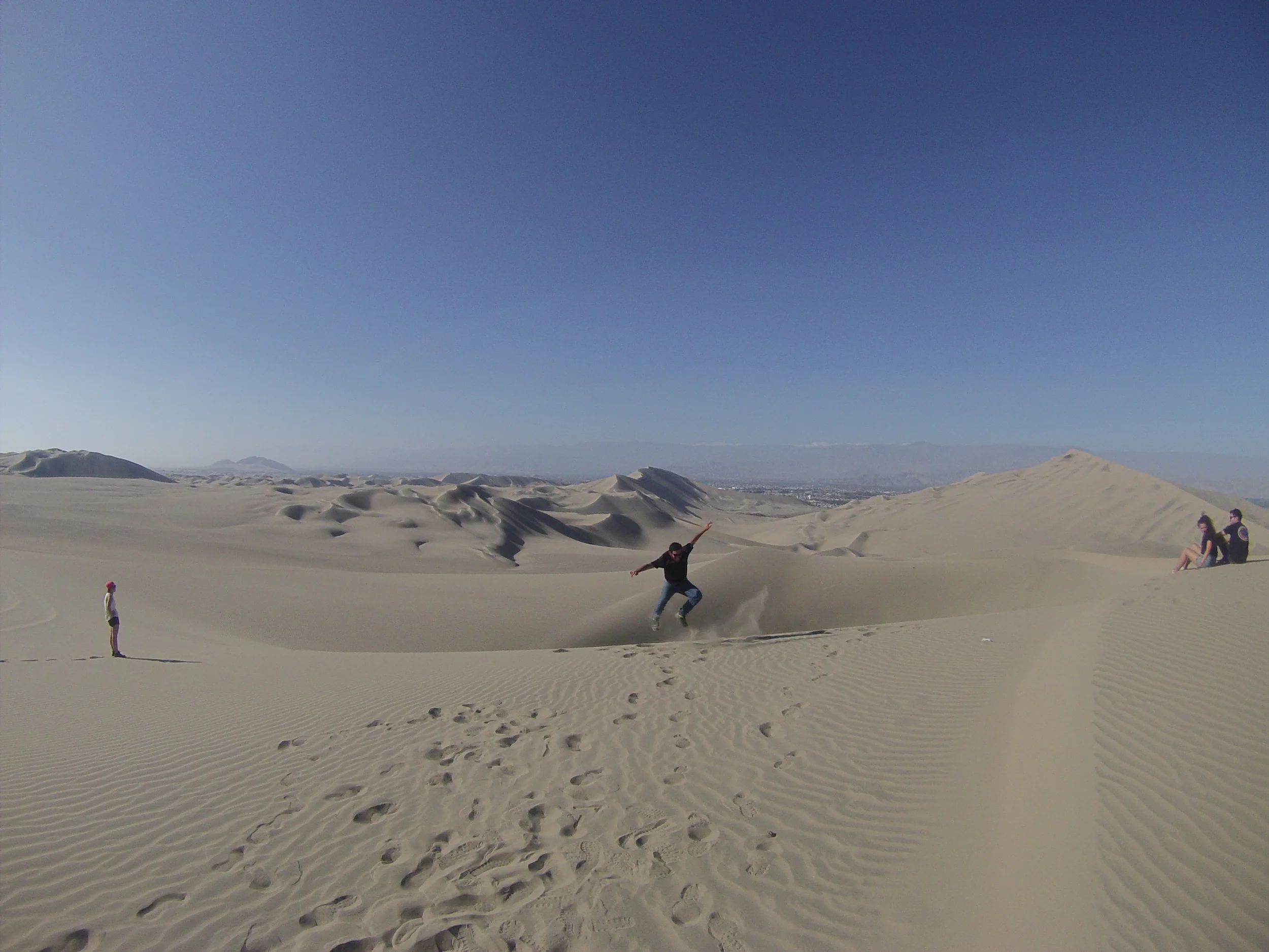 An Oasis in The Desert