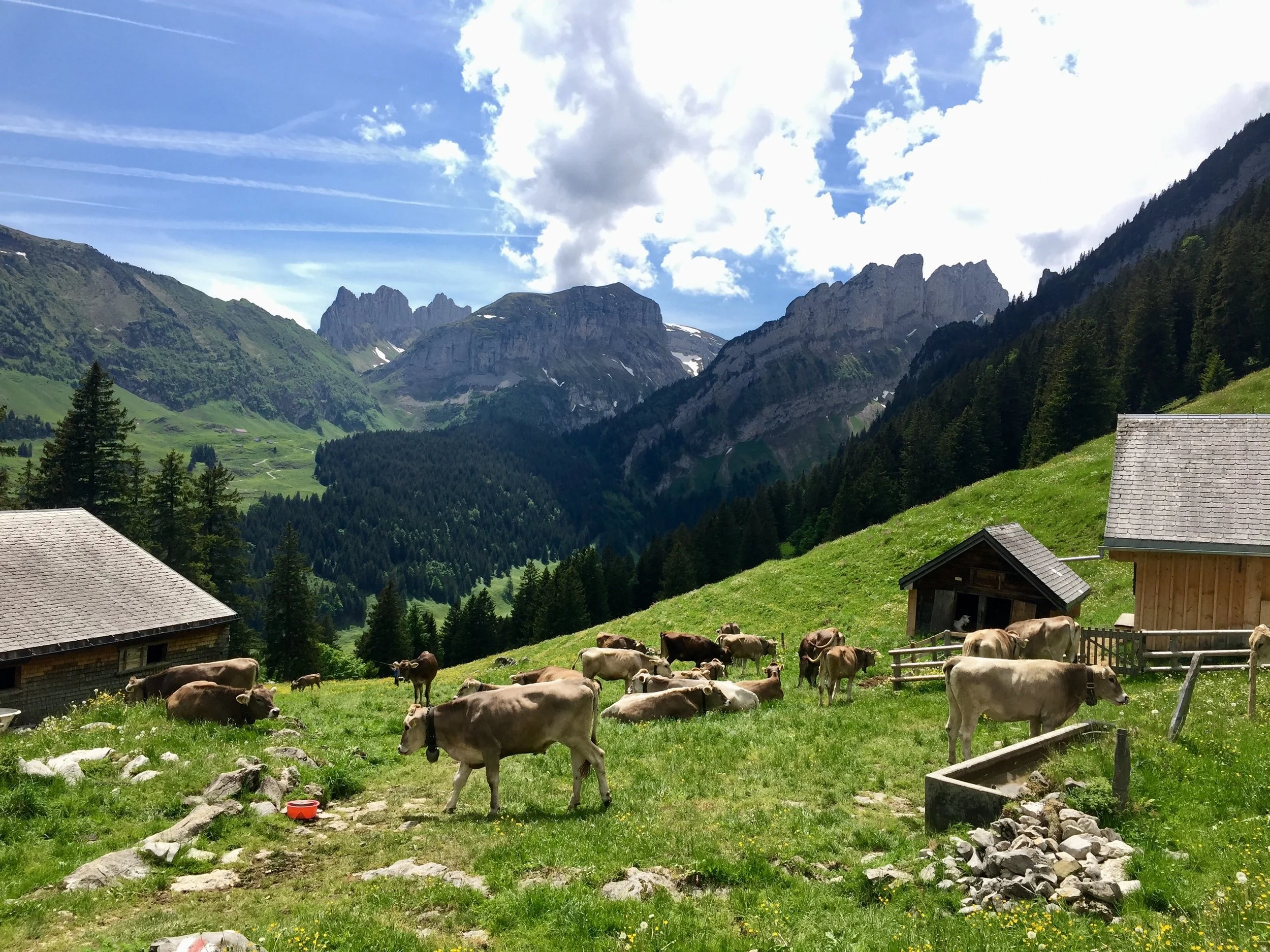Stunning Swiss Scenery