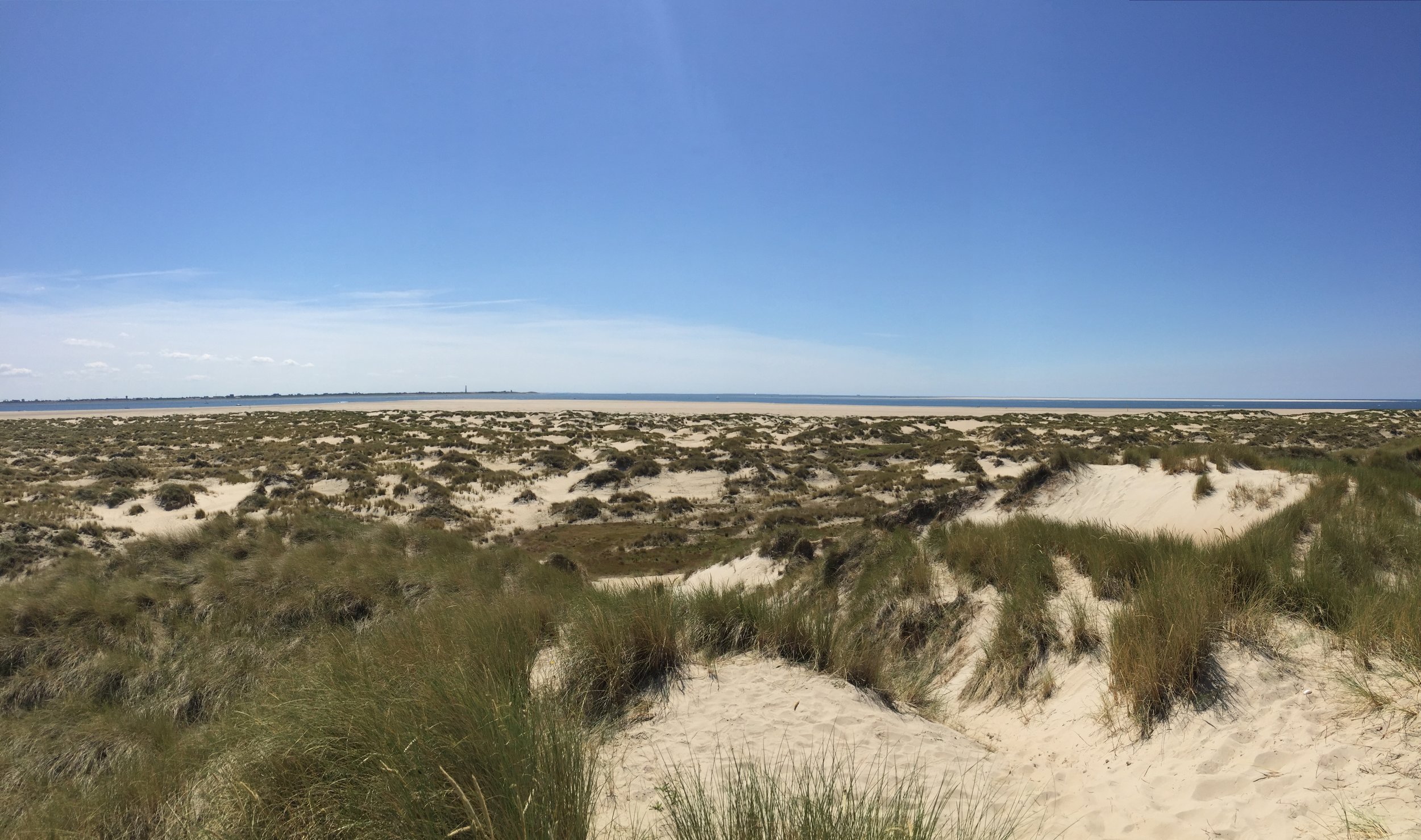 Dunes of Texel National Park 