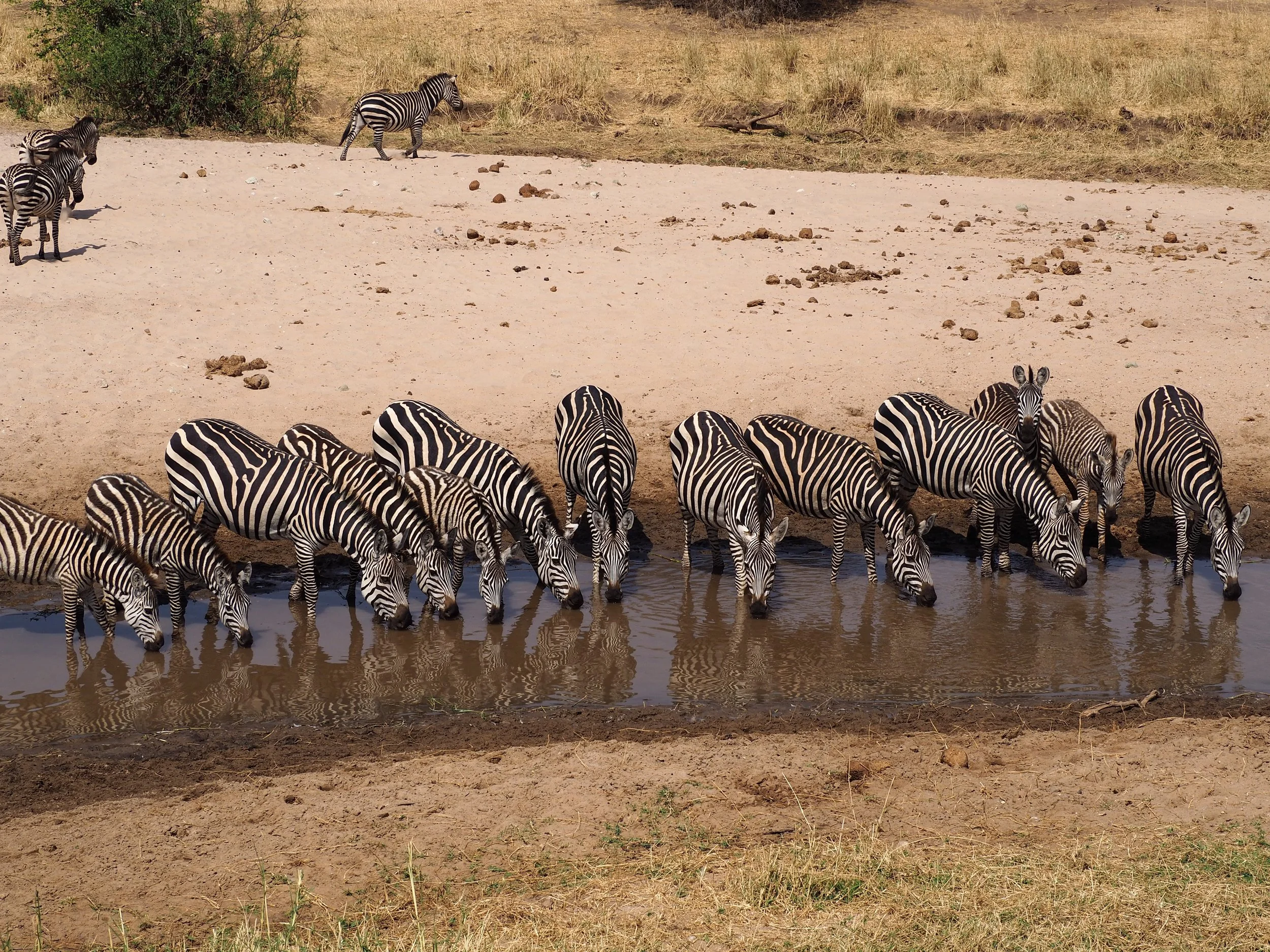 Tarangire National Park