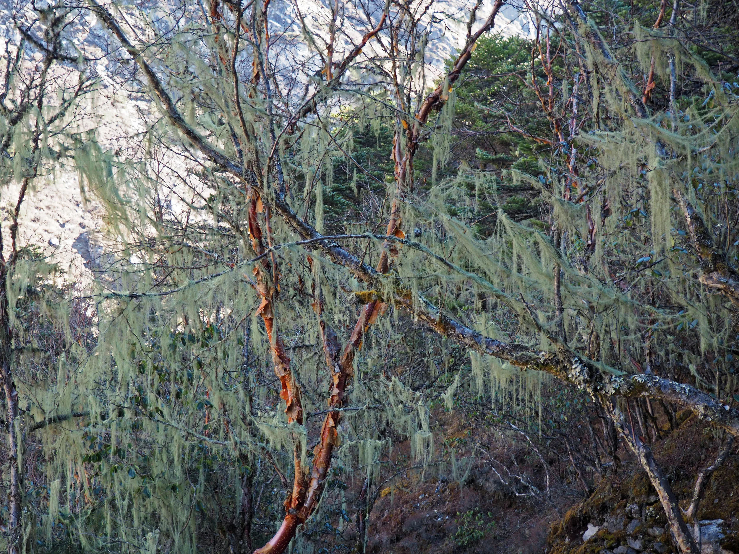 P4145950kopie.jpg