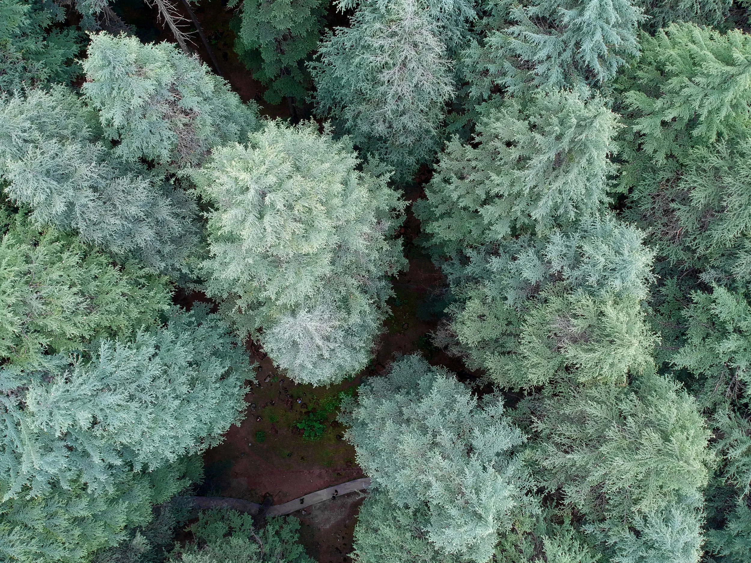 DJI_0388kopie.jpg