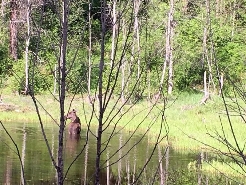 Pond on way to CCT Agency