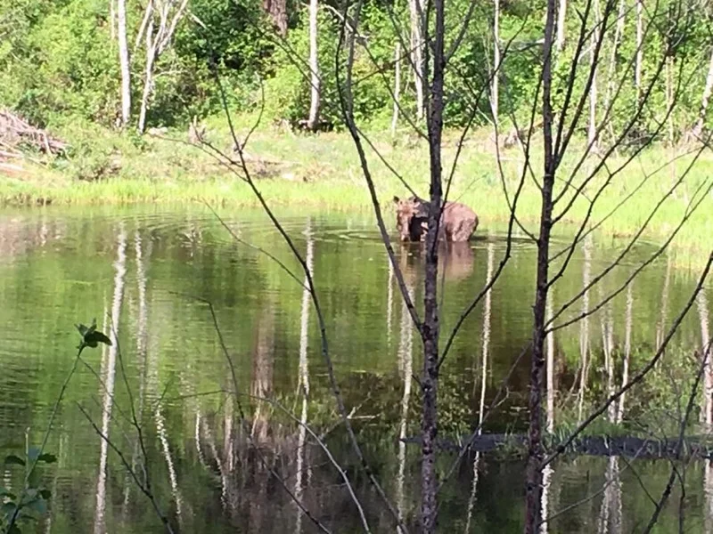 Pond on way to CCT Agency