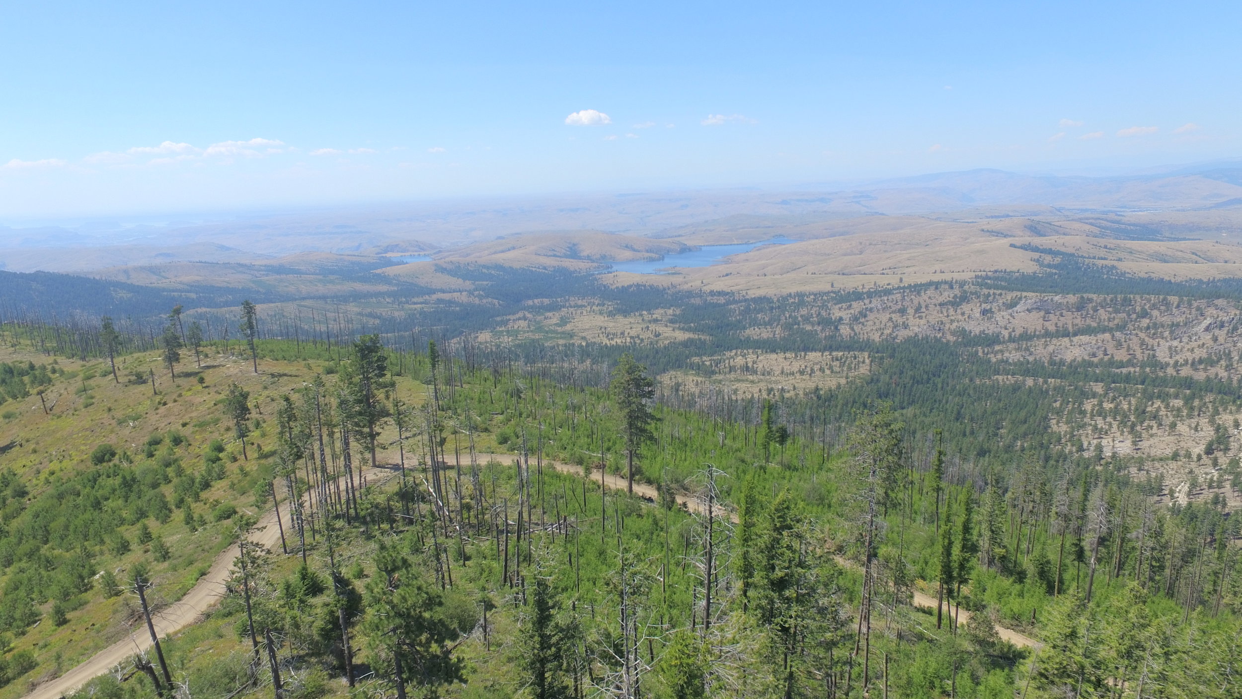 Keller Butte Looking to Buffalo Lake