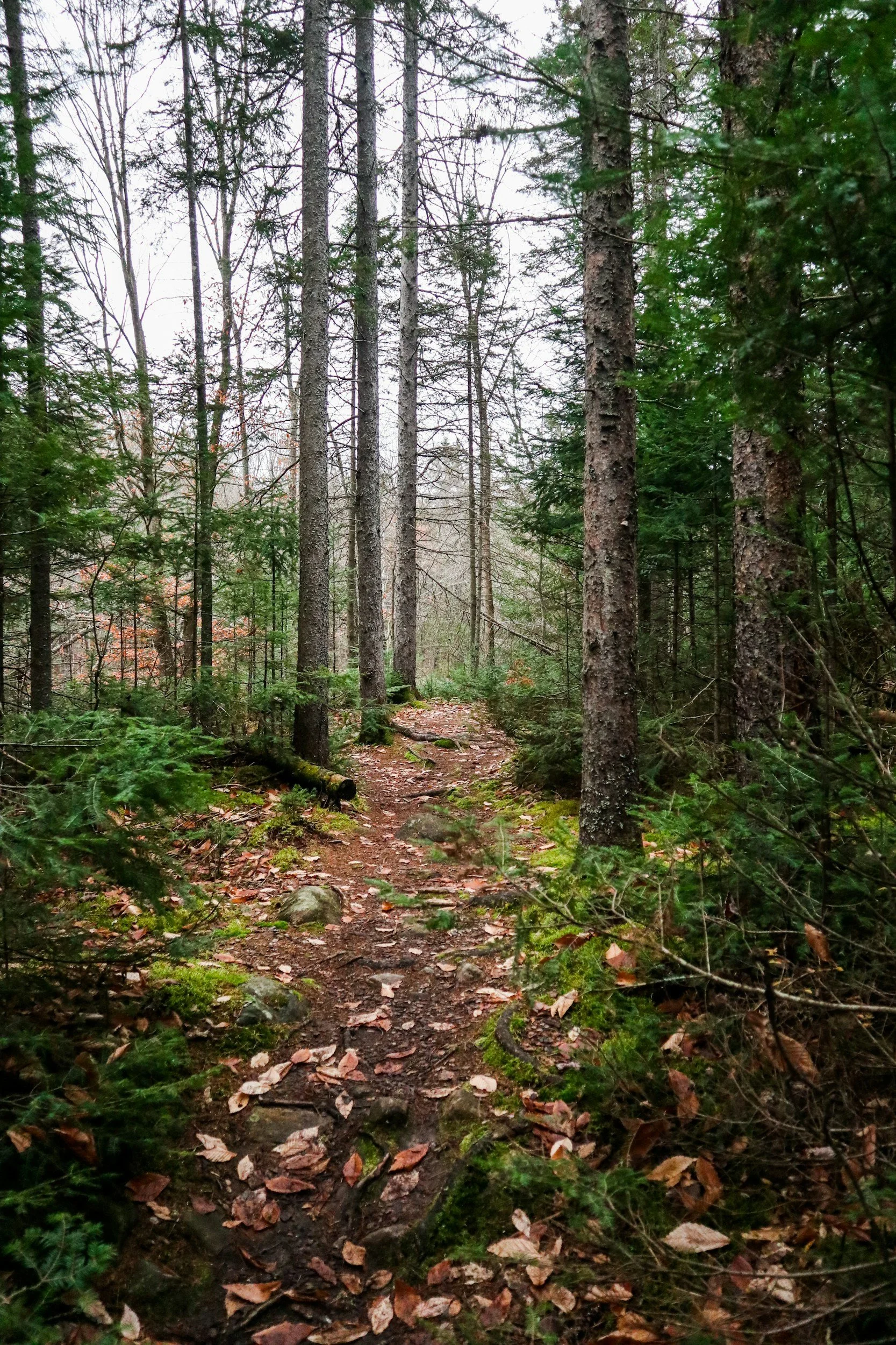 Visitation &amp; Reflective Walk