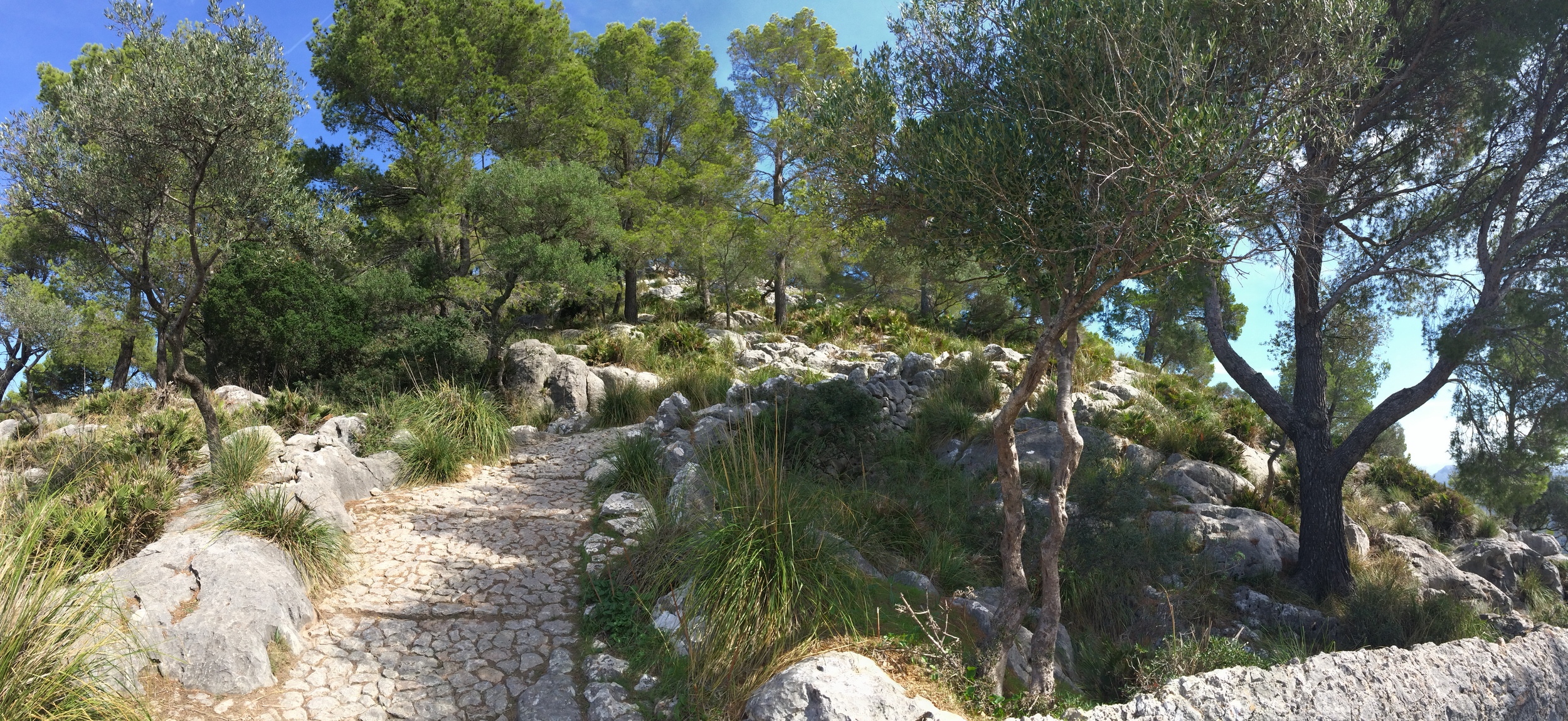 The trail leading up to the sanctuary.