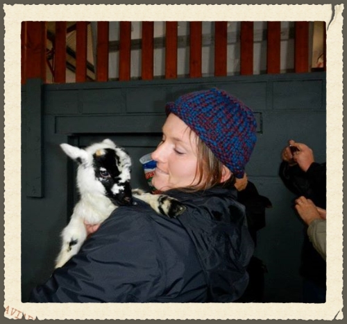 This was our baby sheep. We named him Jack.