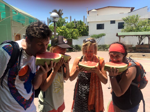 If you coco-man is siesta-ing, watermelons will suffice.