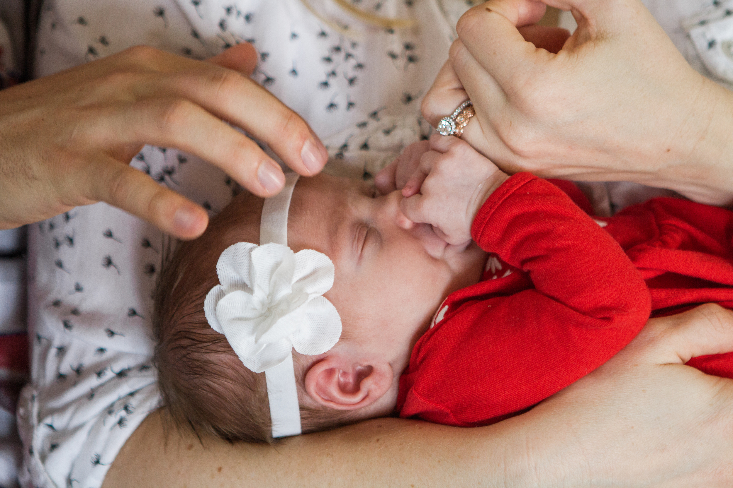 Gloucester Massachusetts Newborn Photography by Shannon Sorensen