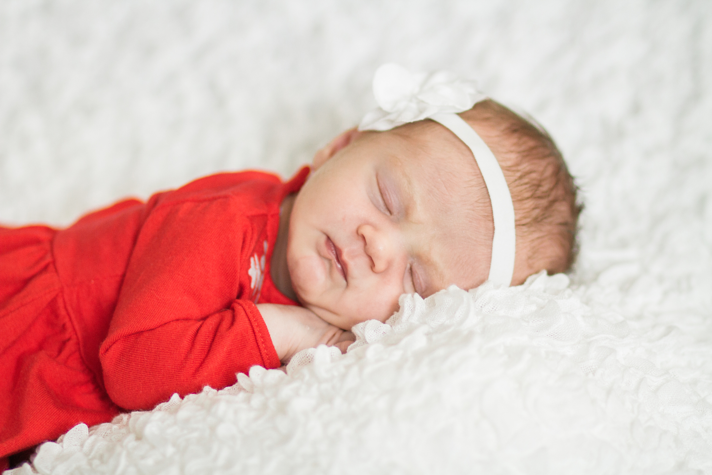 Gloucester Massachusetts Newborn Photography by Shannon Sorensen