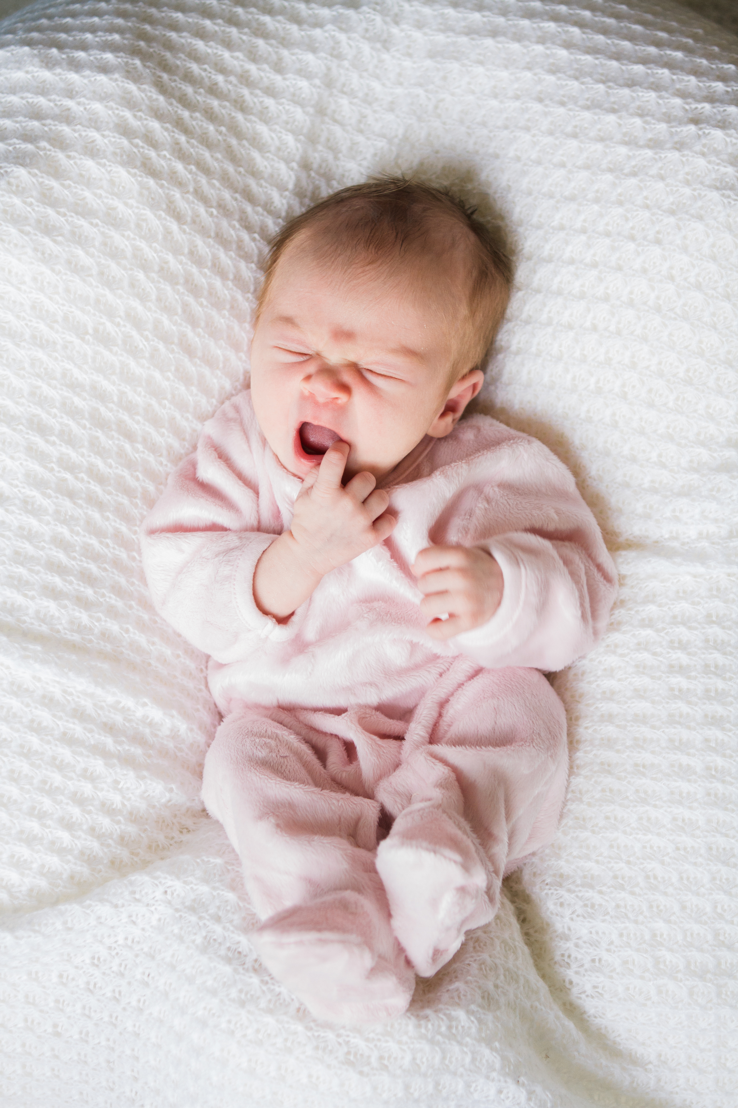 Gloucester Massachusetts Newborn Photography by Shannon Sorensen