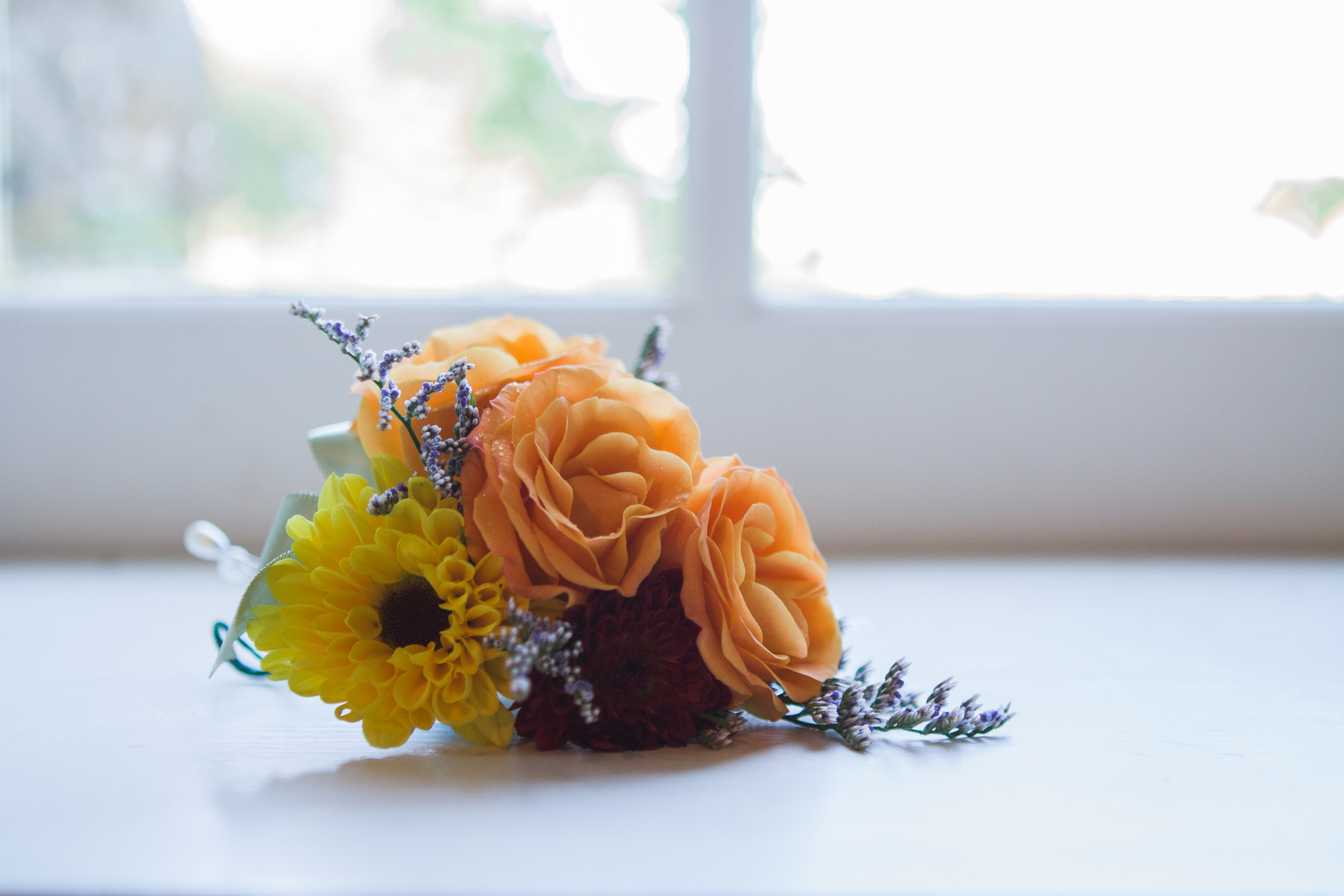 Lauren and Eyvi Bascom Lodge Mt. Greylock Berkshires Massachusetts Mountain Wedding Shannon Sorensen Photography