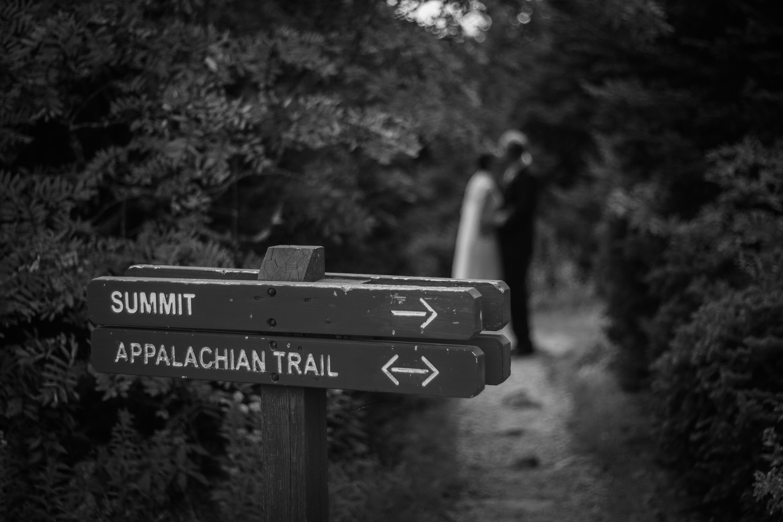 Lauren and Eyvi Bascom Lodge Mt. Greylock Berkshires Massachusetts Mountain Wedding Shannon Sorensen Photography