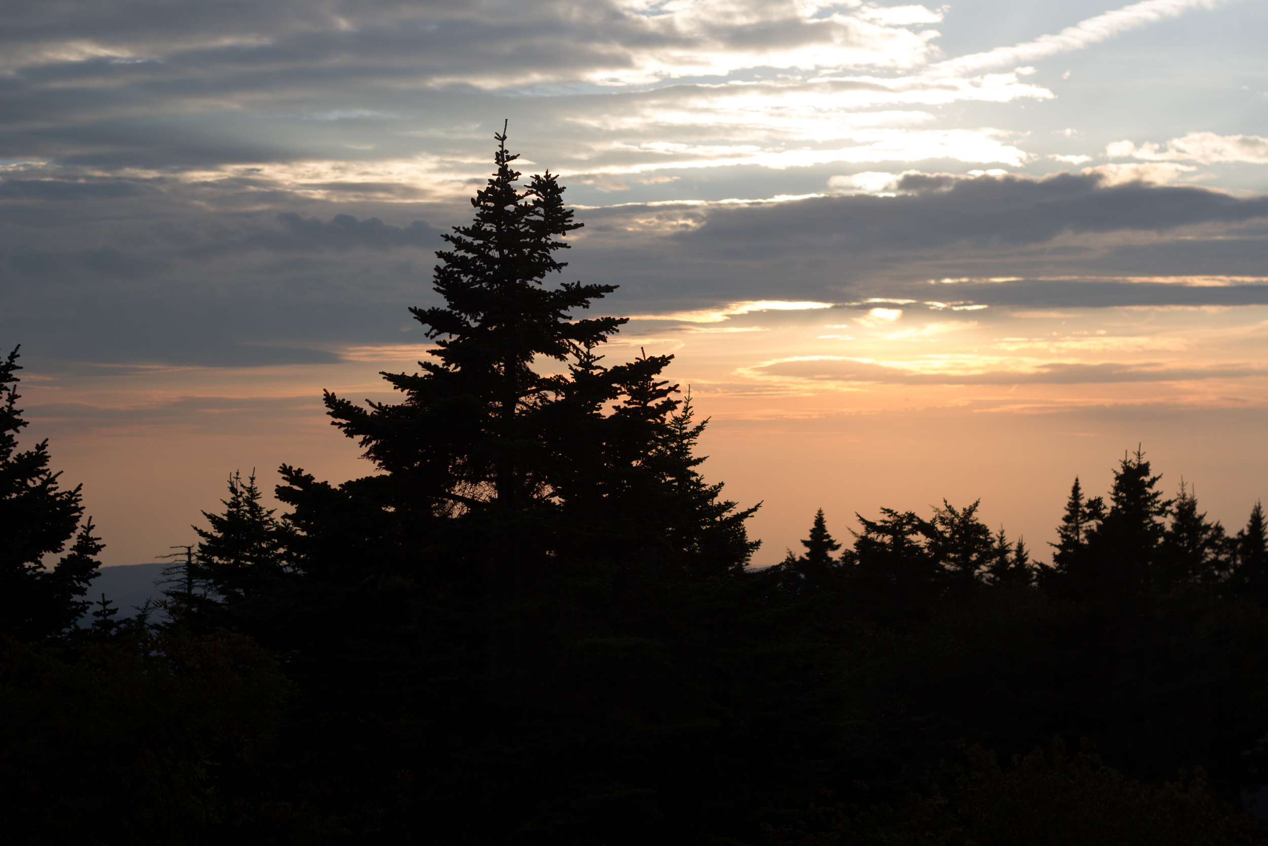 Lauren and Eyvi Bascom Lodge Mt. Greylock Berkshires Massachusetts Mountain Wedding Shannon Sorensen Photography