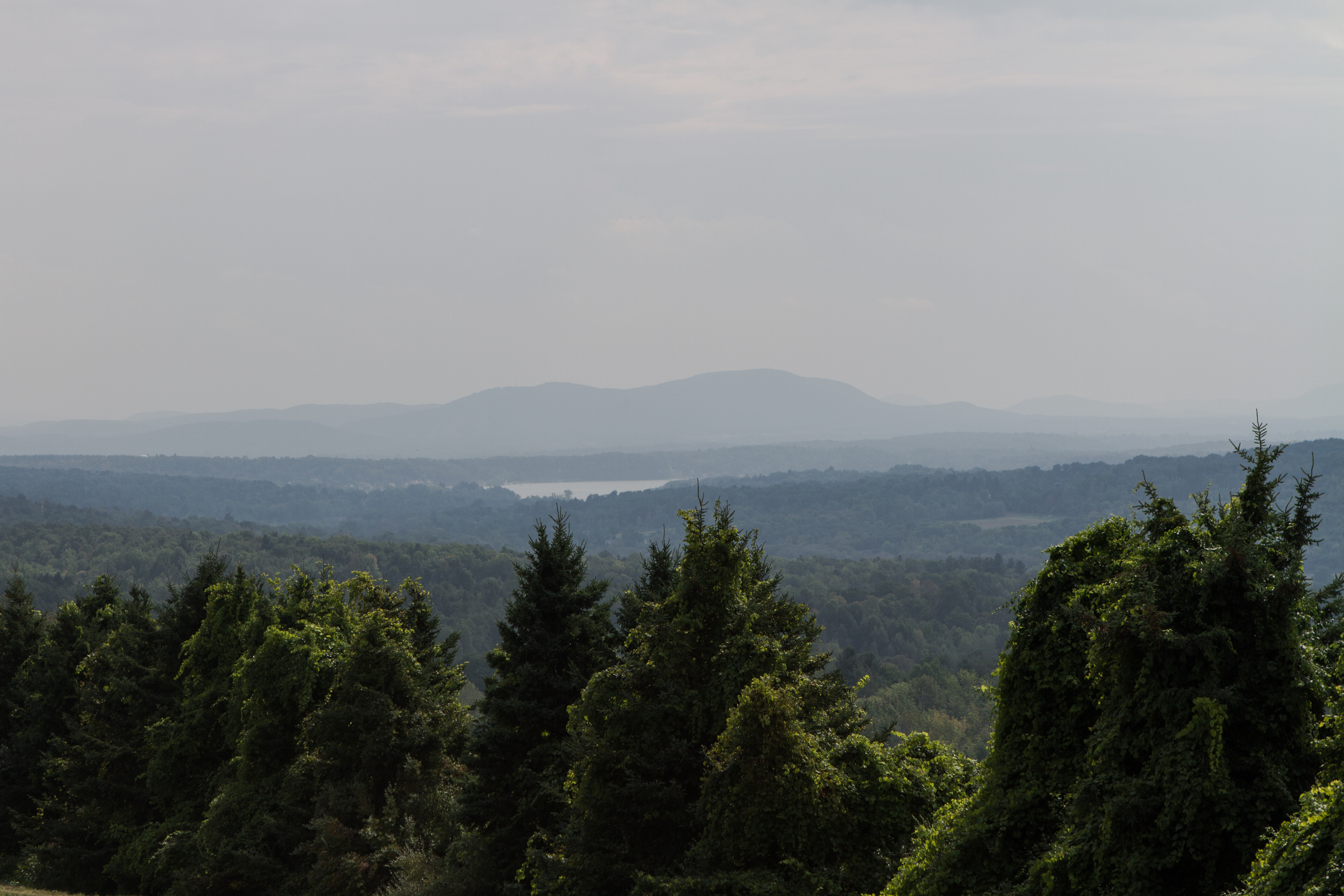 Tiffany and Andy's Bascom Lodge Mountain Wedding Wedding Mt. Greylock Berkshires Massachusetts Shannon Sorensen Photography