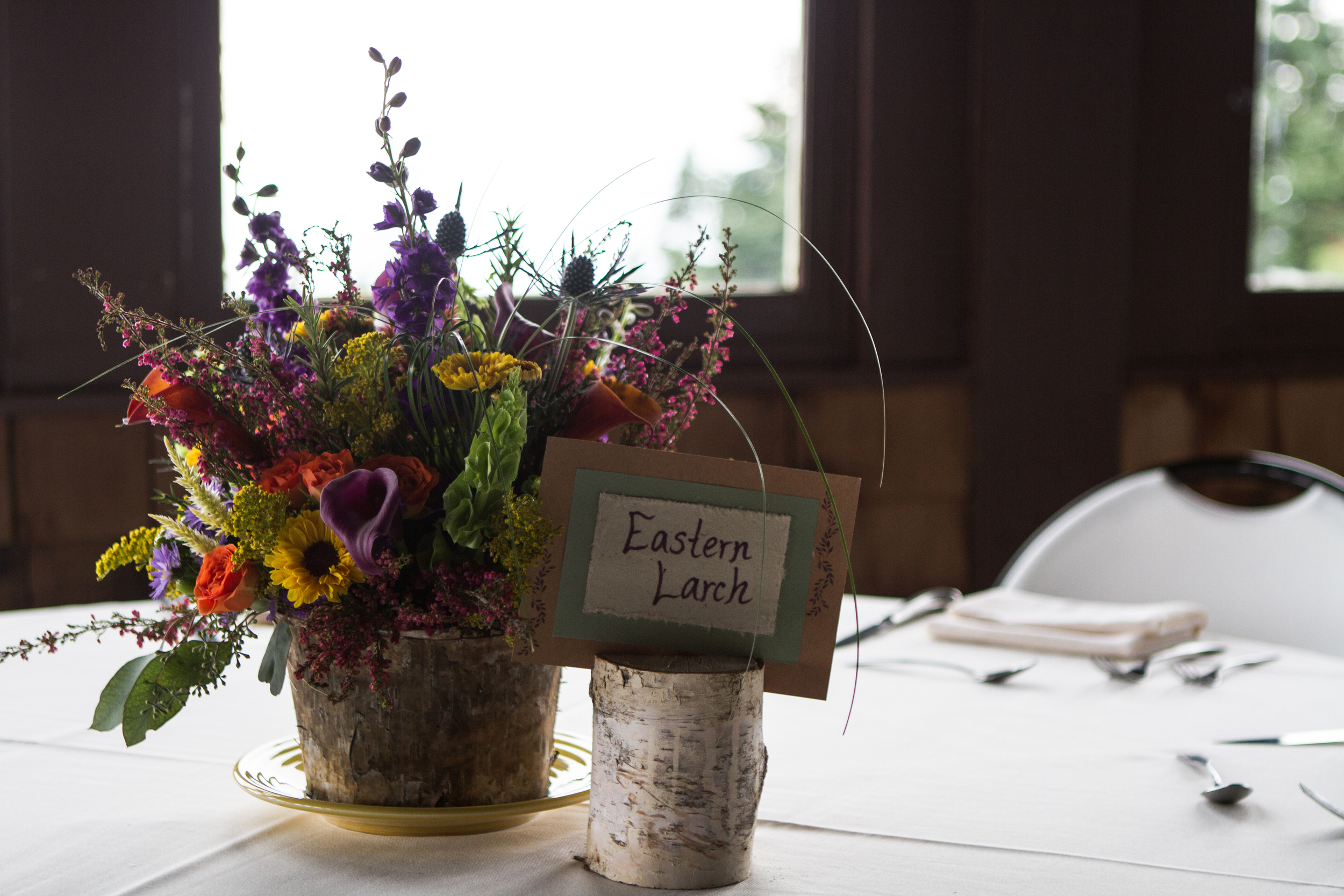 Tiffany and Andy's Bascom Lodge Mountain Wedding Wedding Mt. Greylock Berkshires Massachusetts Shannon Sorensen Photography