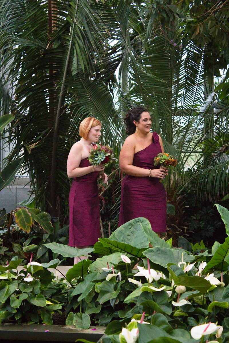 Roger Williams Botanical Garden Wedding Shannon Sorensen