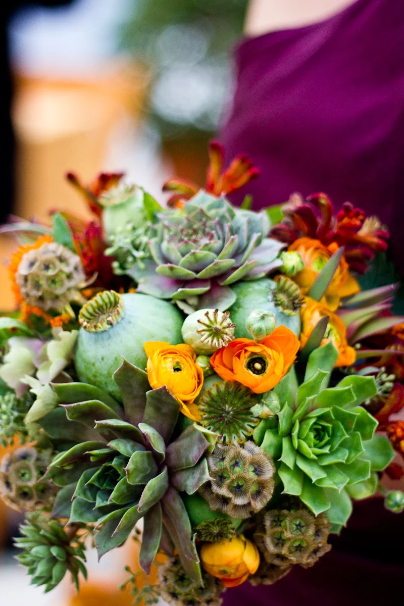 Roger Williams Botanical Garden Wedding Shannon Sorensen