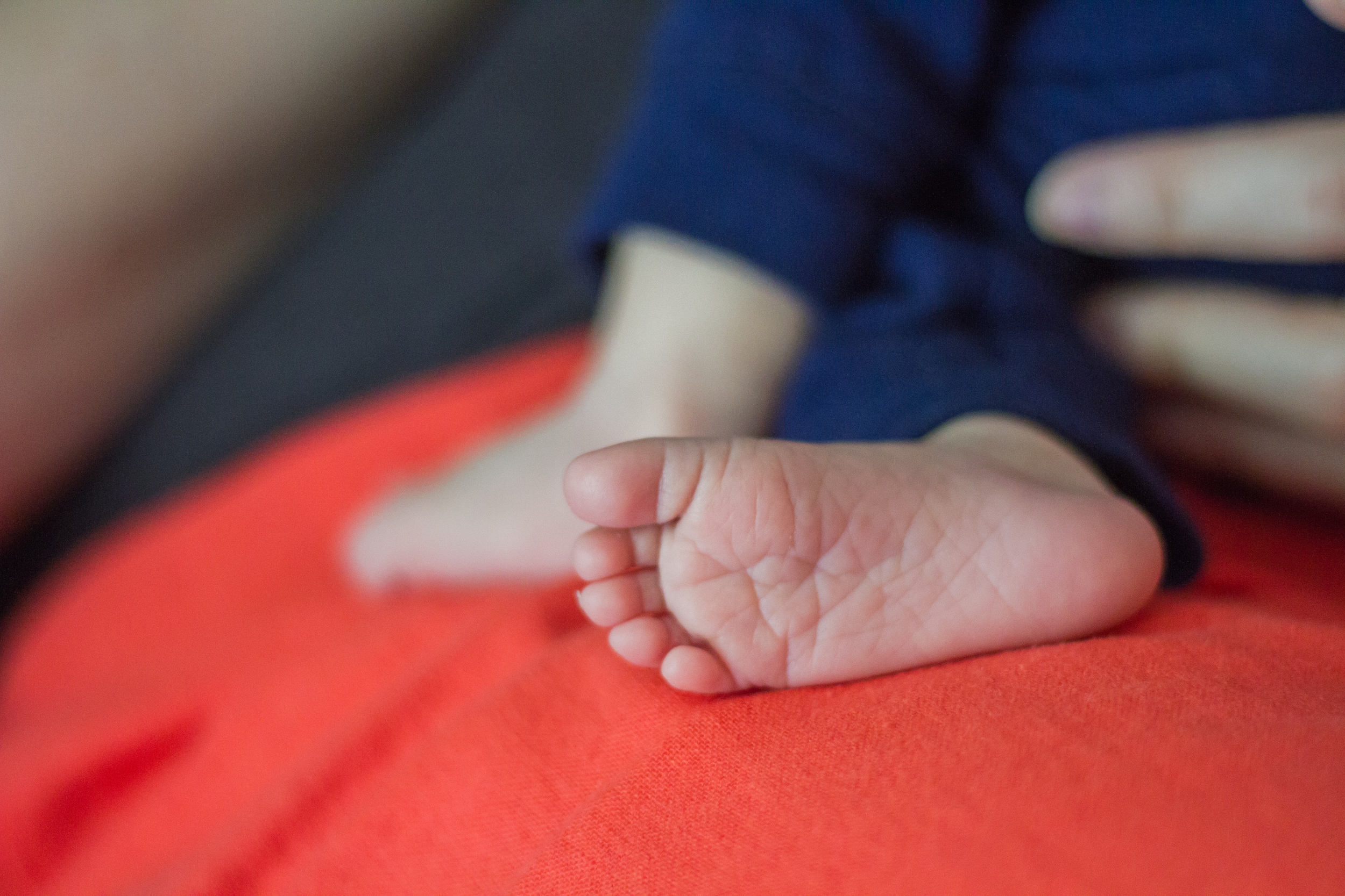 Boston Massachusetts Connecticut Rhode Island Newborn Family Photographer Shannon Sorensen