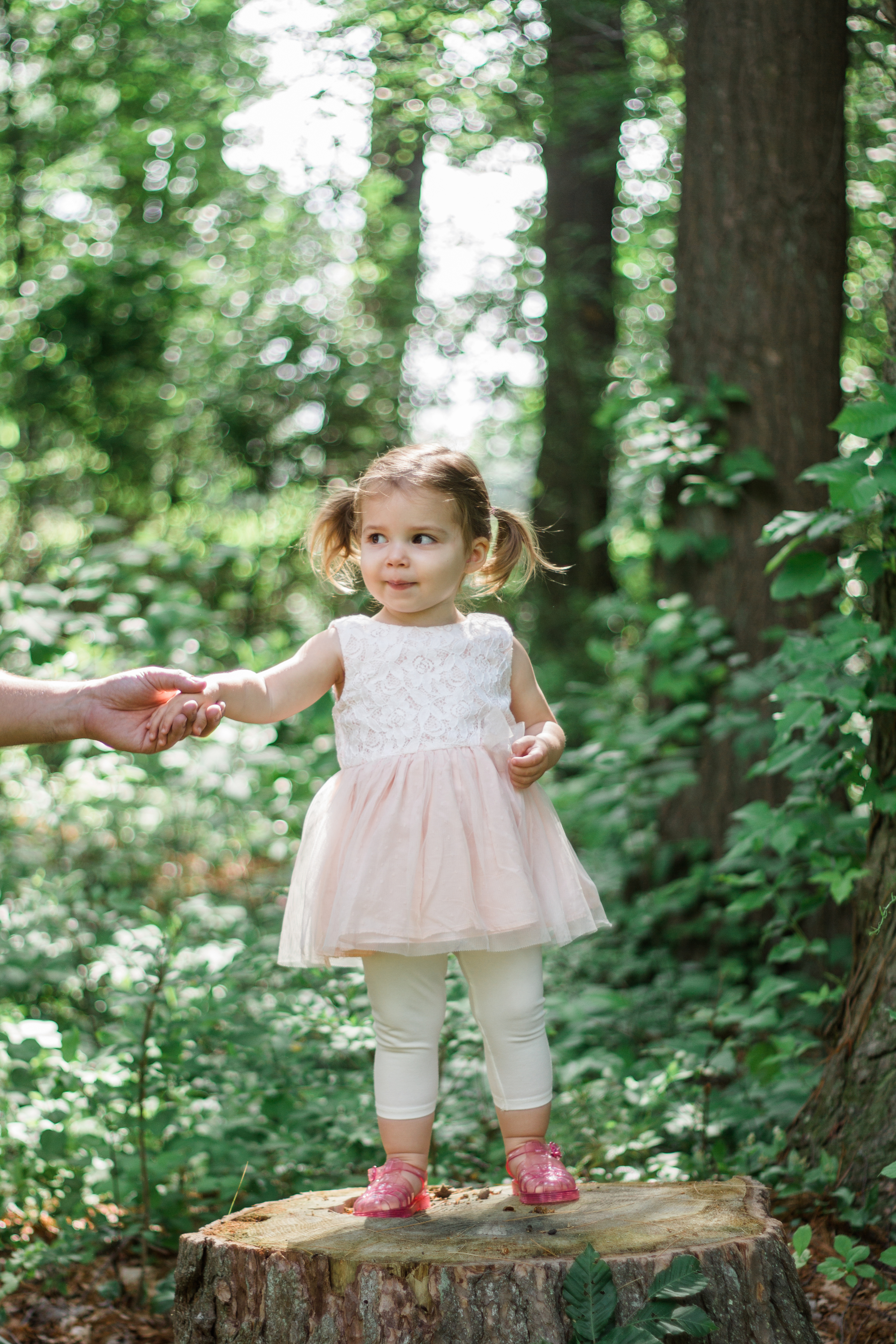 Boston Family Photographer Shannon Sorensen Photography